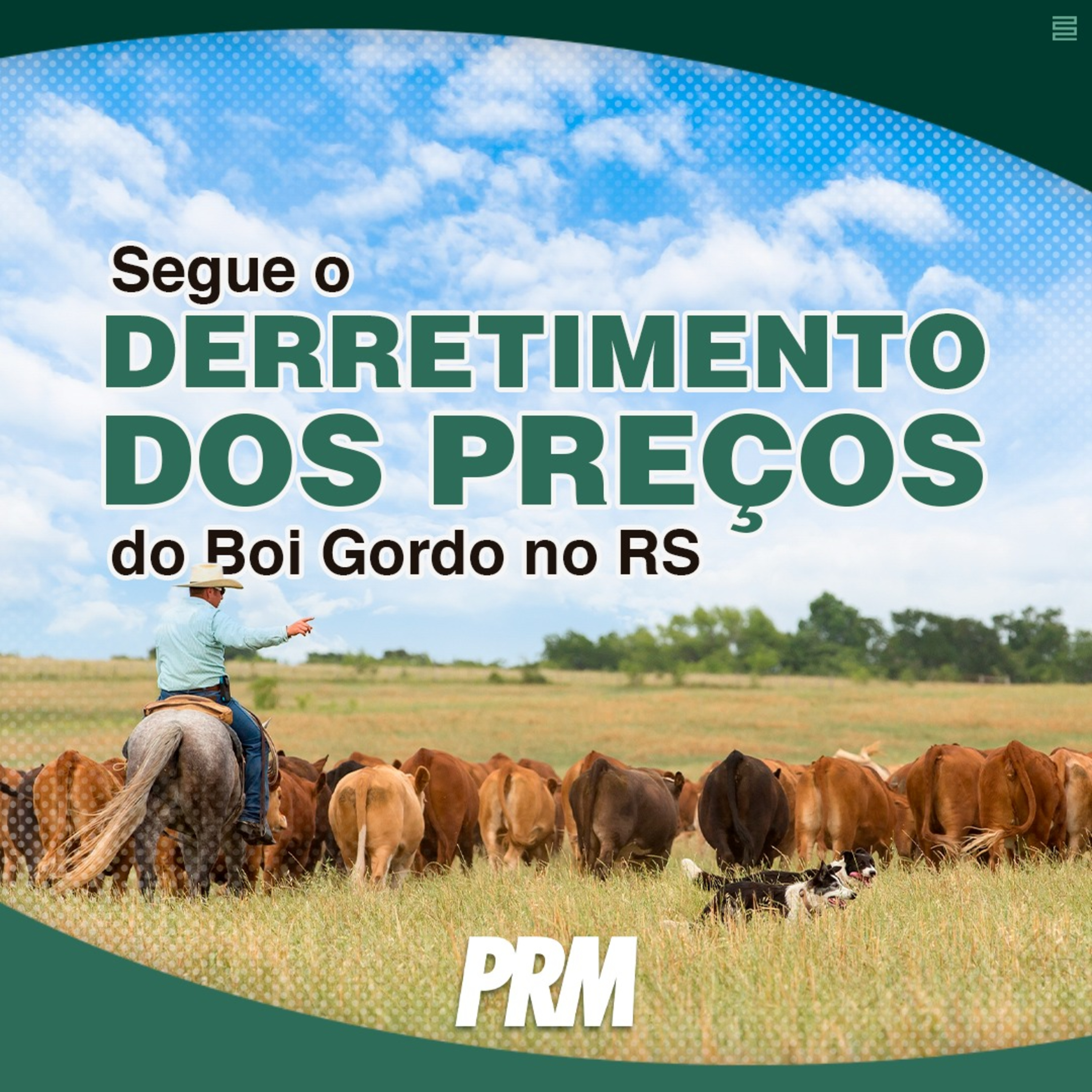 Pecuária PRM — Conteúdo Exclusivo