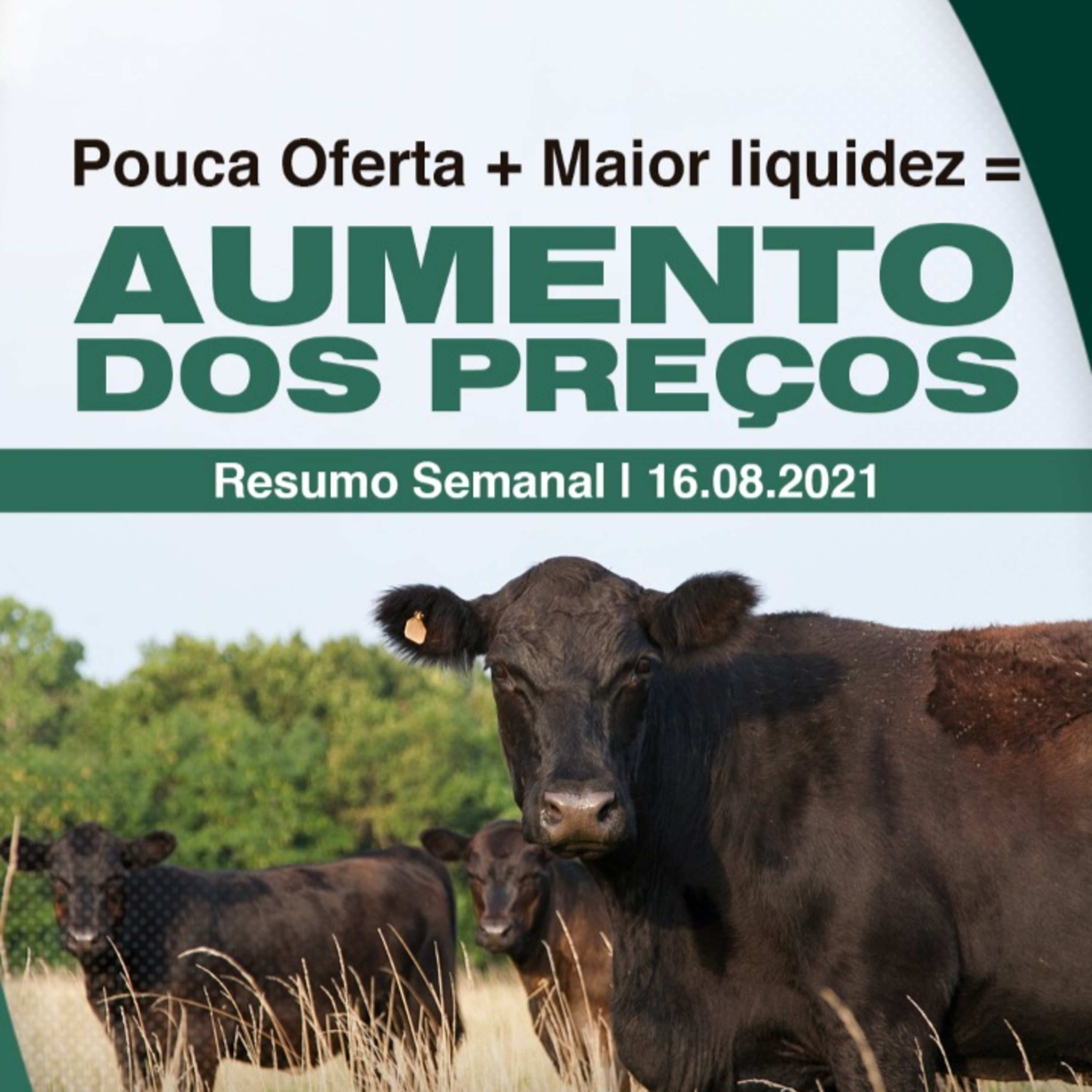 Pecuária PRM — Conteúdo Exclusivo