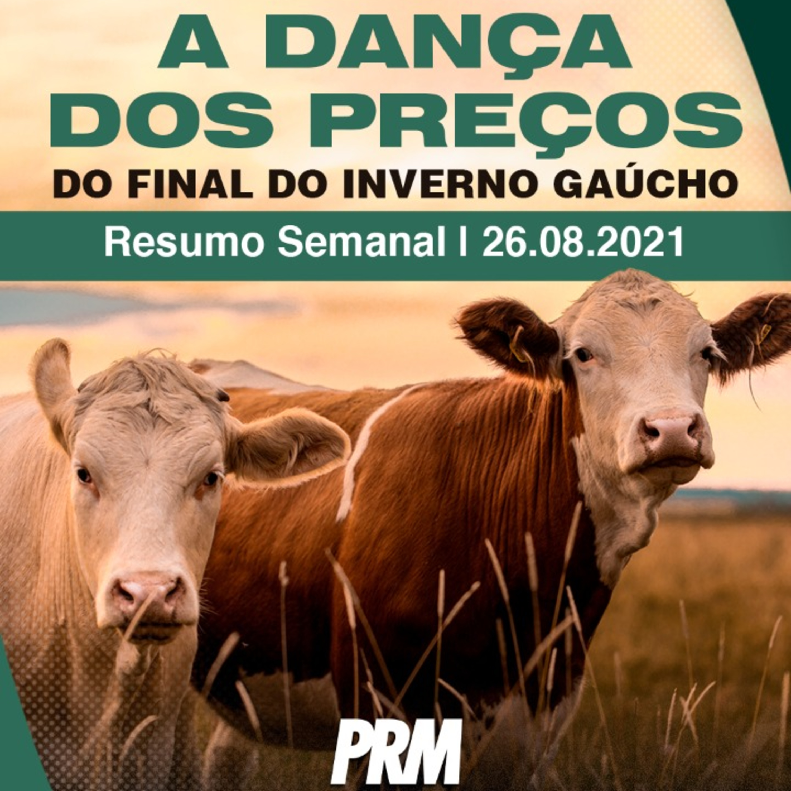 Pecuária PRM — Conteúdo Exclusivo