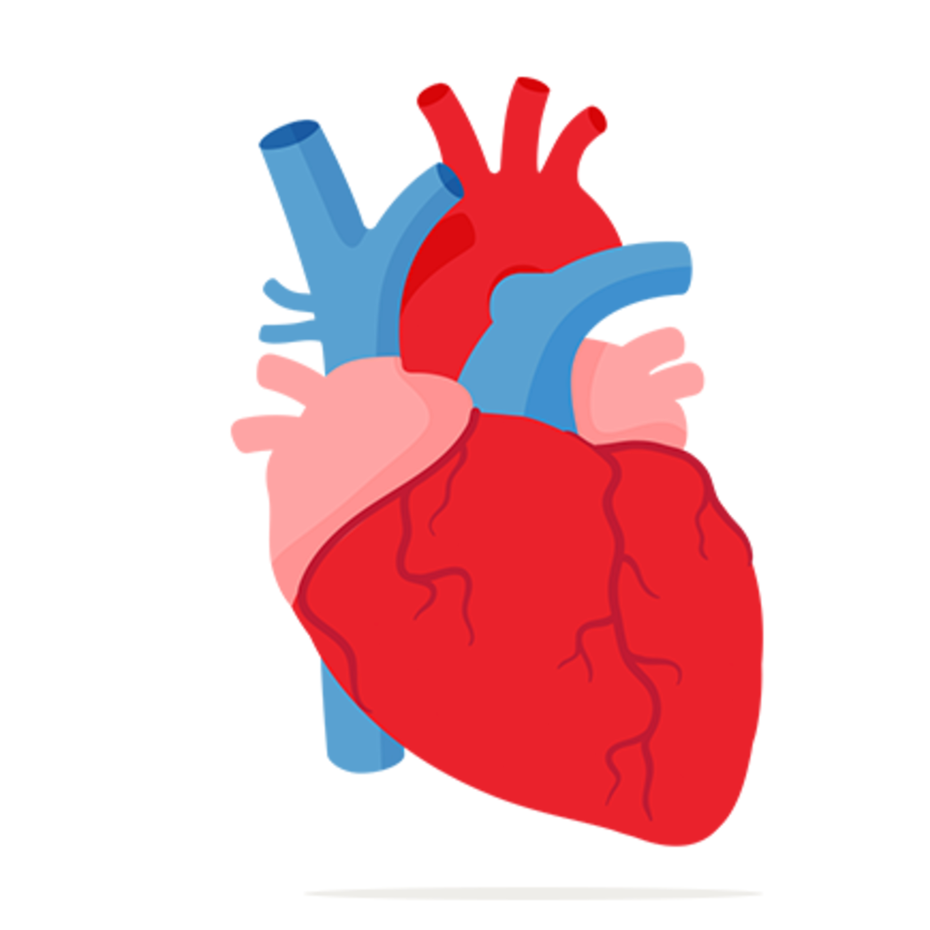 Hypertension  episode artwork