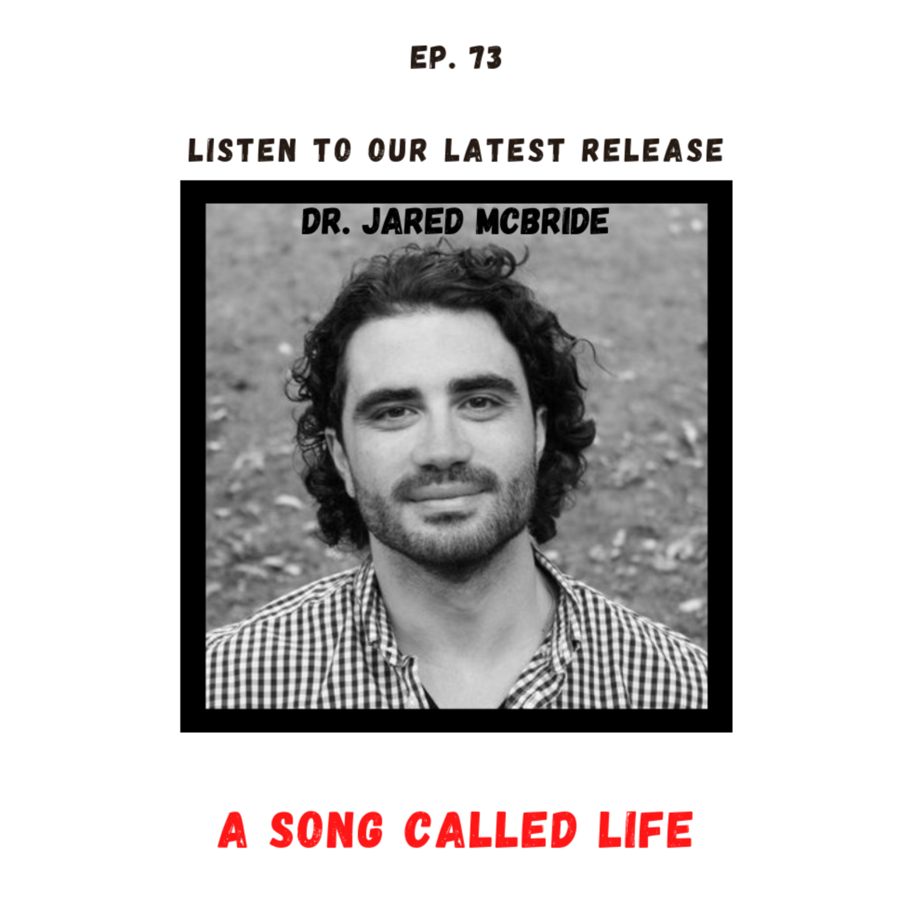A Song Called Life