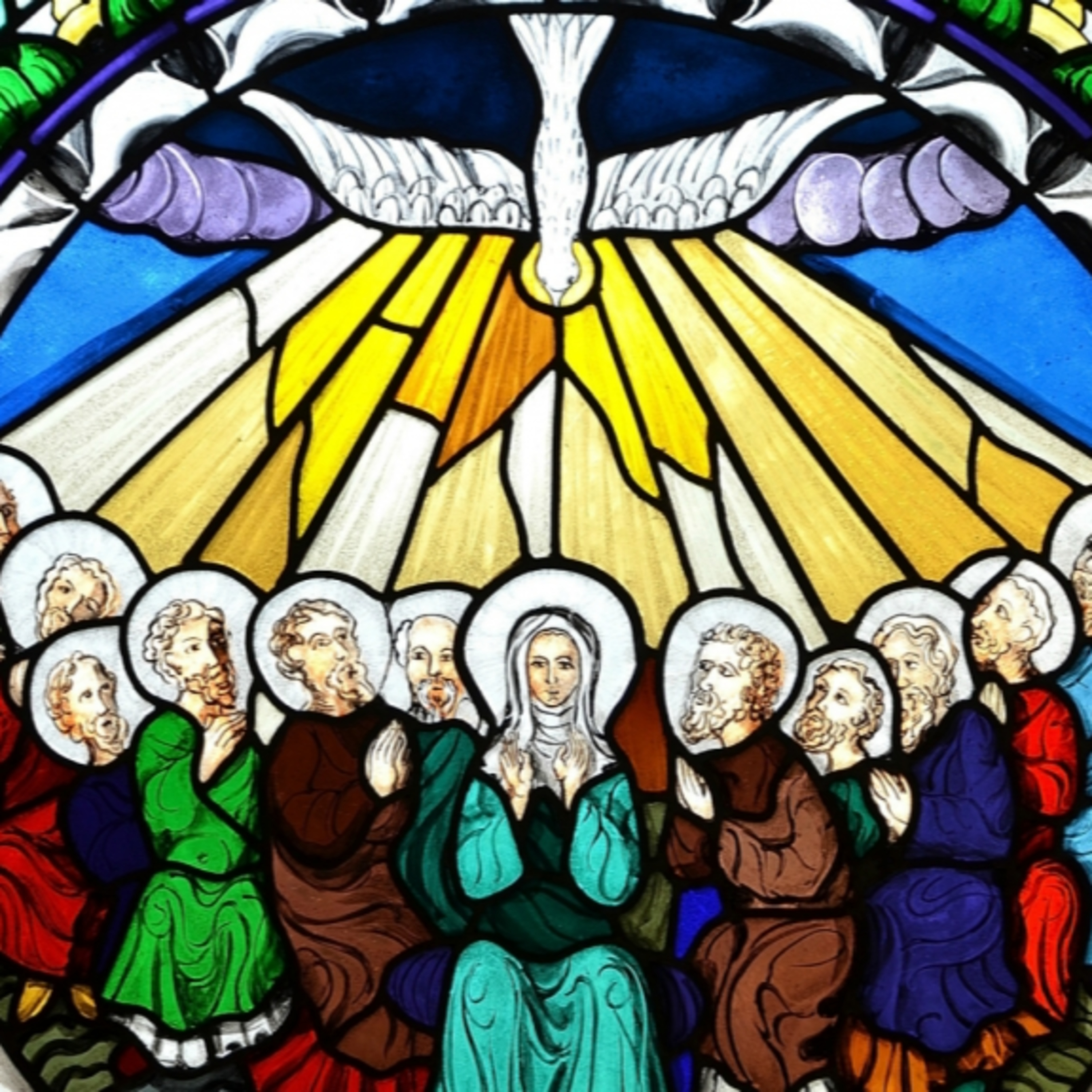 Portada de Homilías Catedral