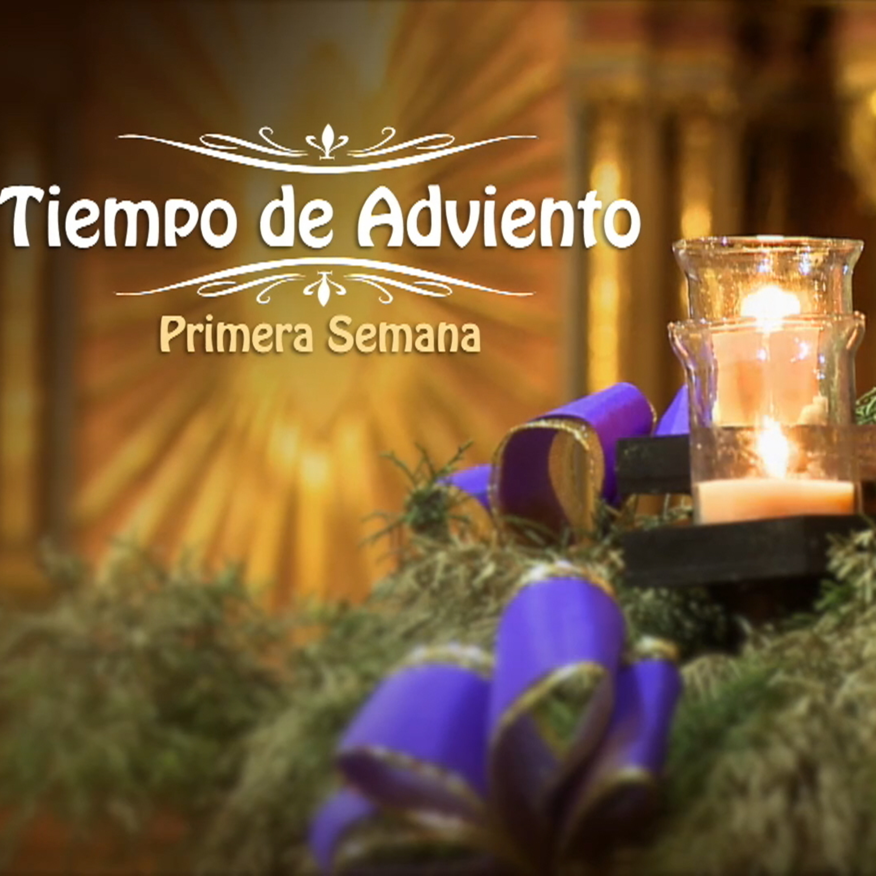 Catedral de Buenos Aires. Santa Misa del domingo 27 de Noviembre. Tiempo de Adviento. episode artwork