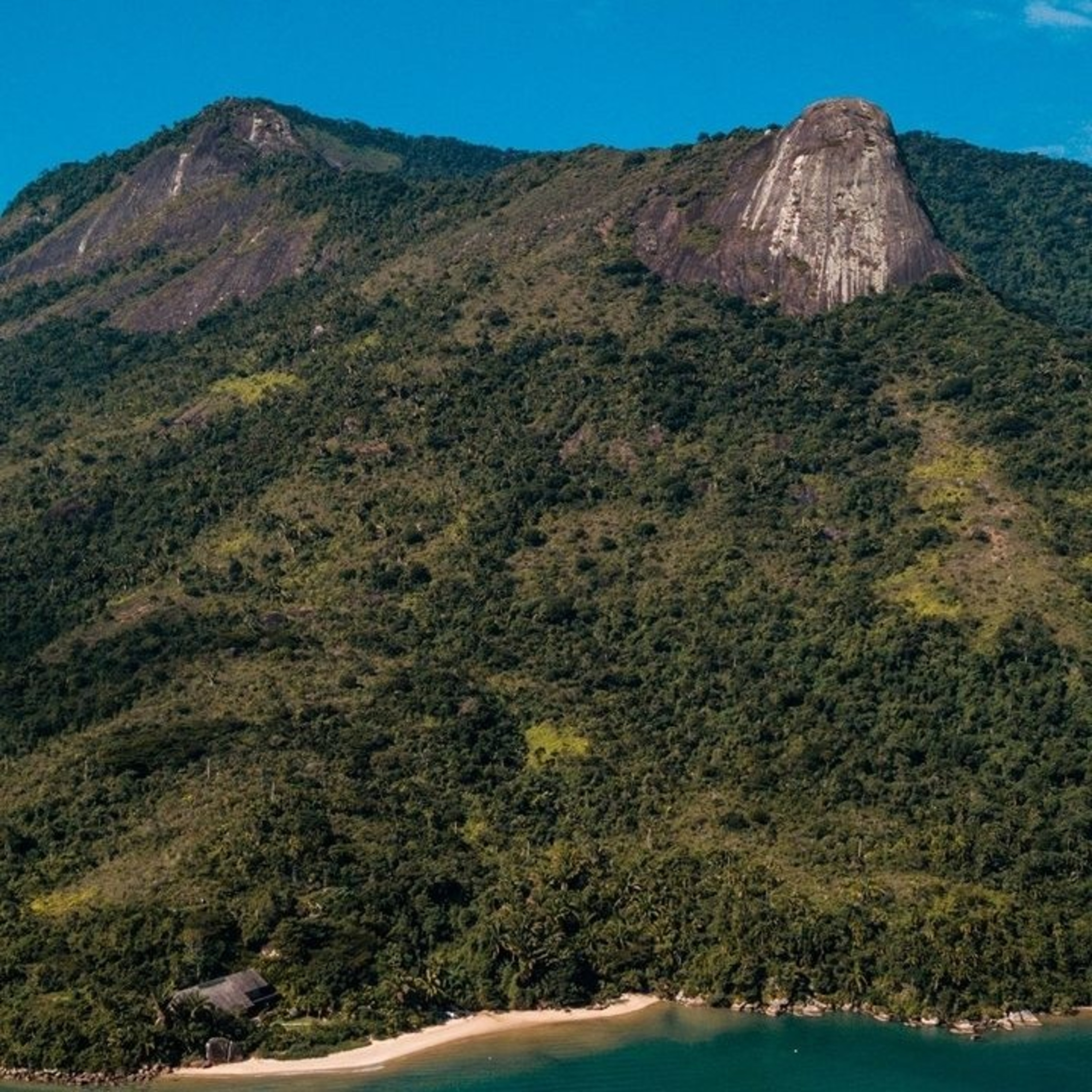 Mata Atlântica - Floresta Tropical/ Atlantic Tropical Forest/ Forêt Tropicale Atlantique