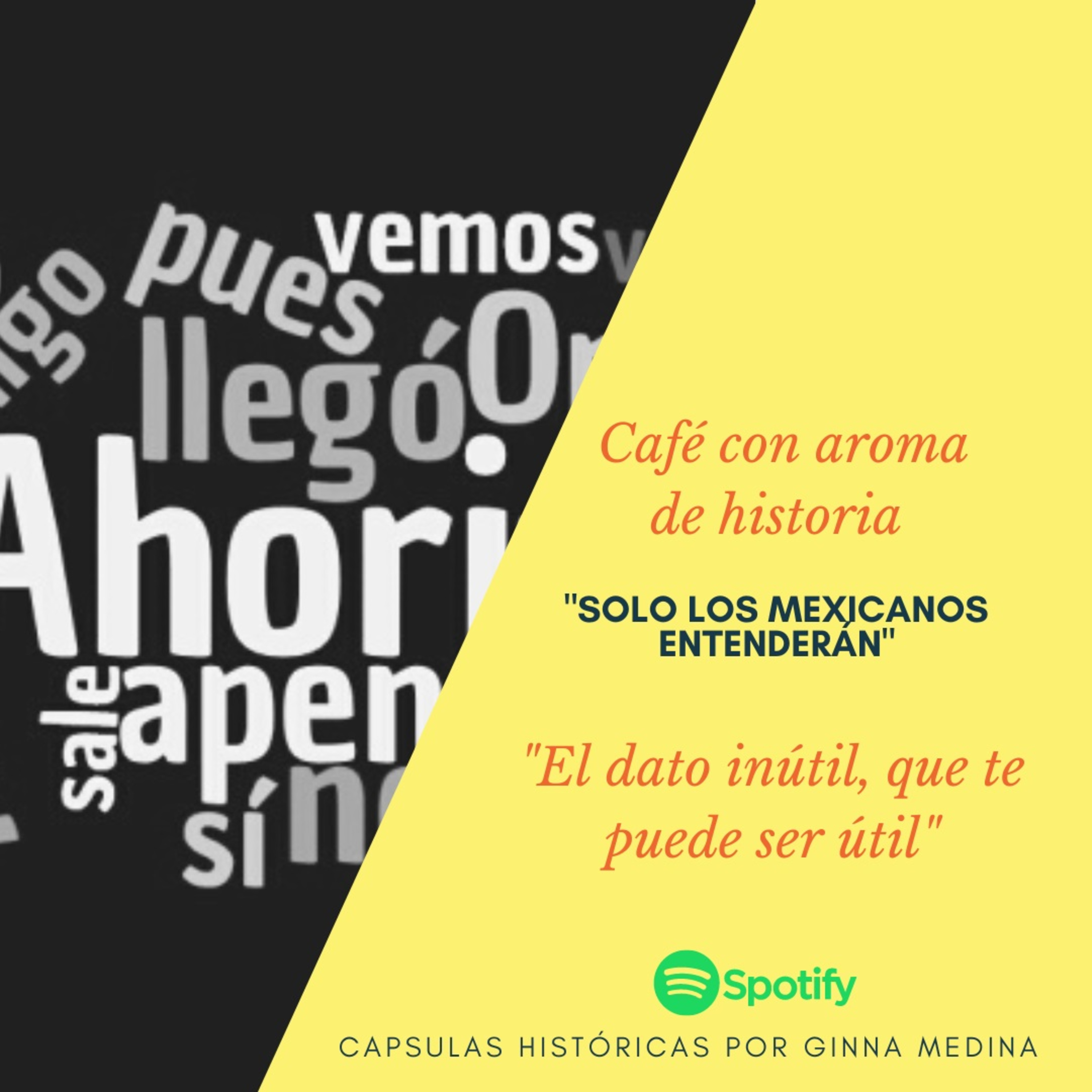 Solo los mexicanos entenderán episode artwork