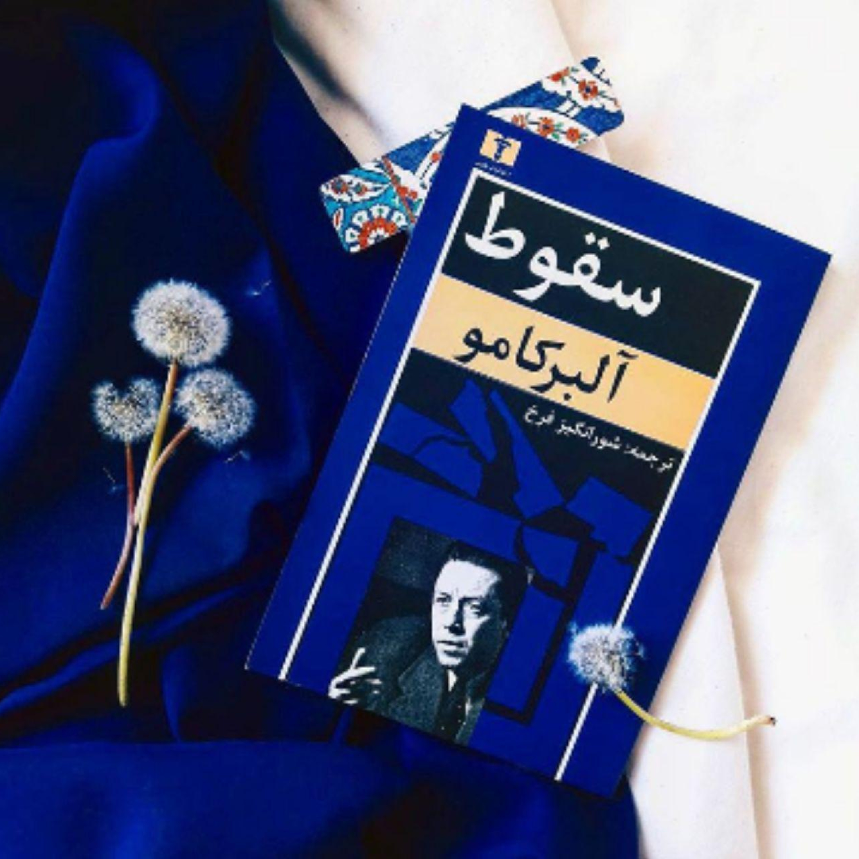 سقوط اثر آلبر کامو