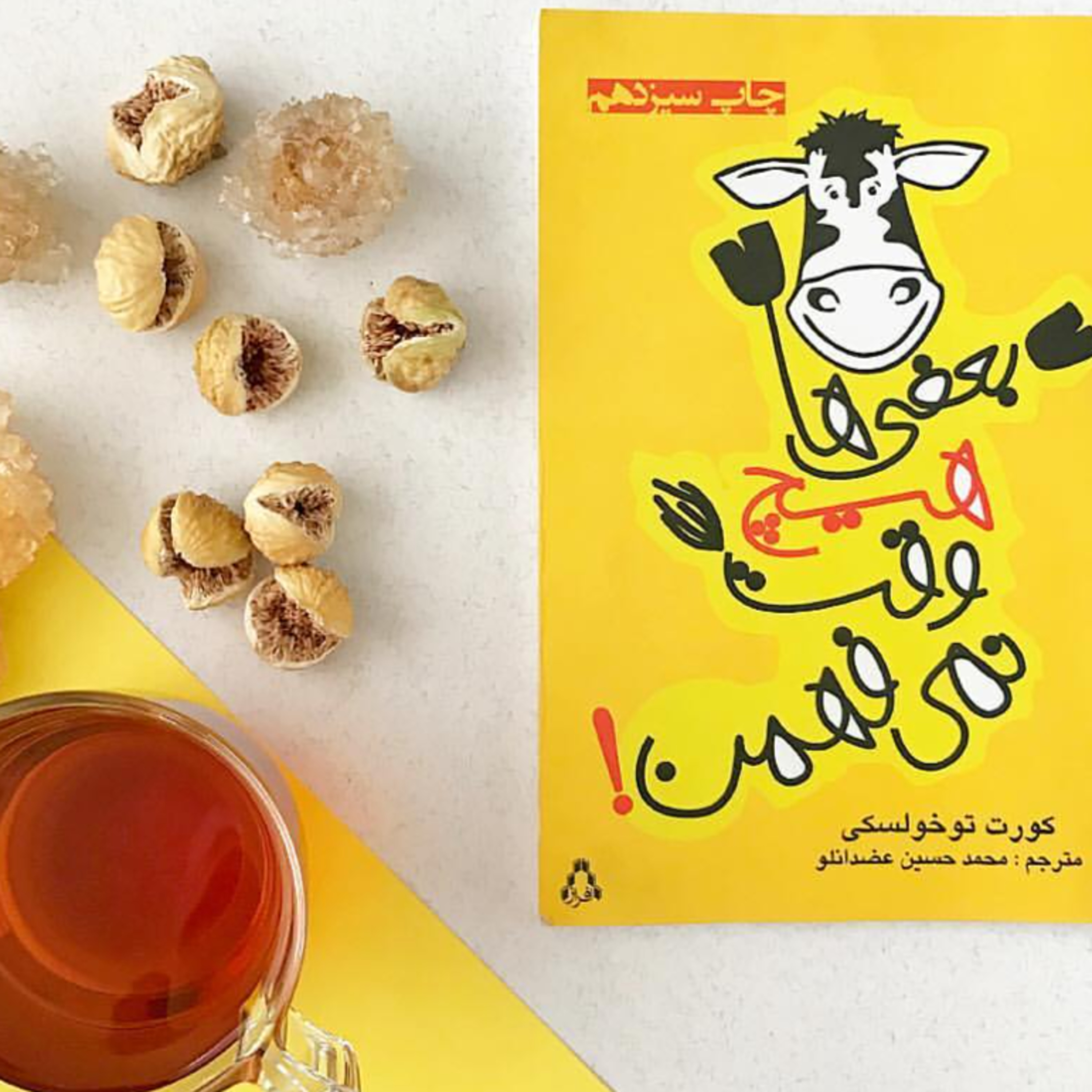 بعضی‌ها هیچ‌وقت نمی‌فهمن! اثر کورت توخولسکی