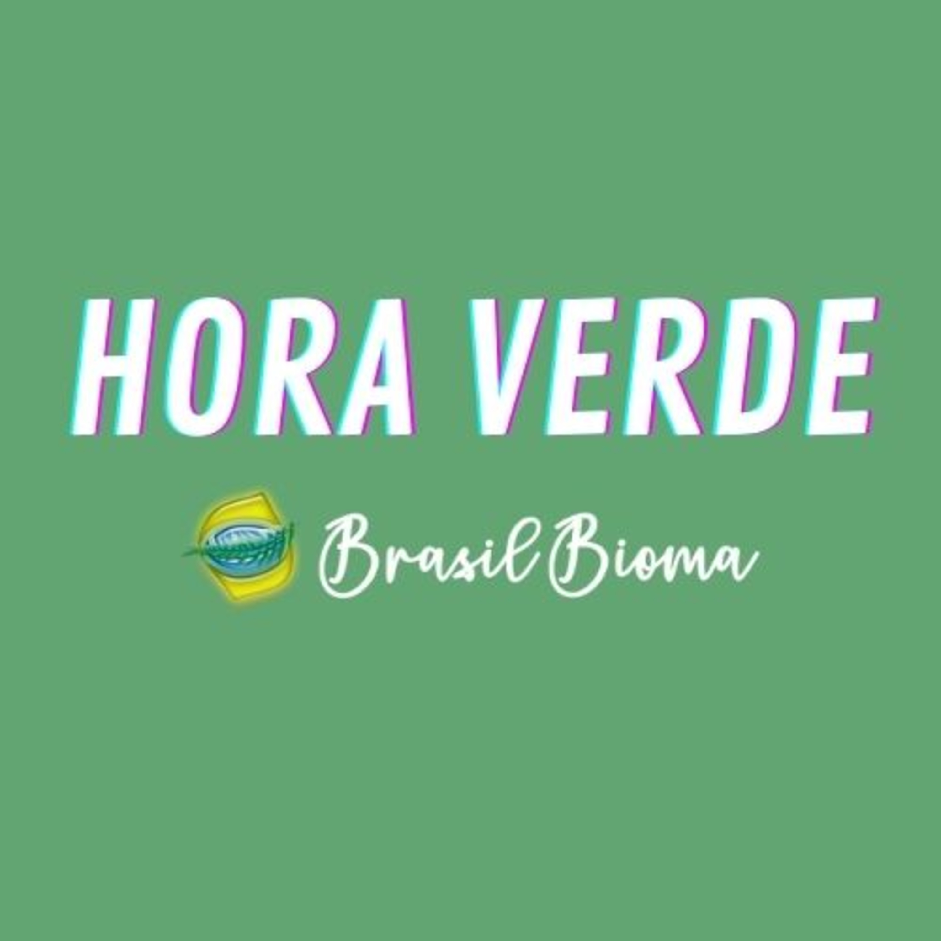 Brasil Bioma