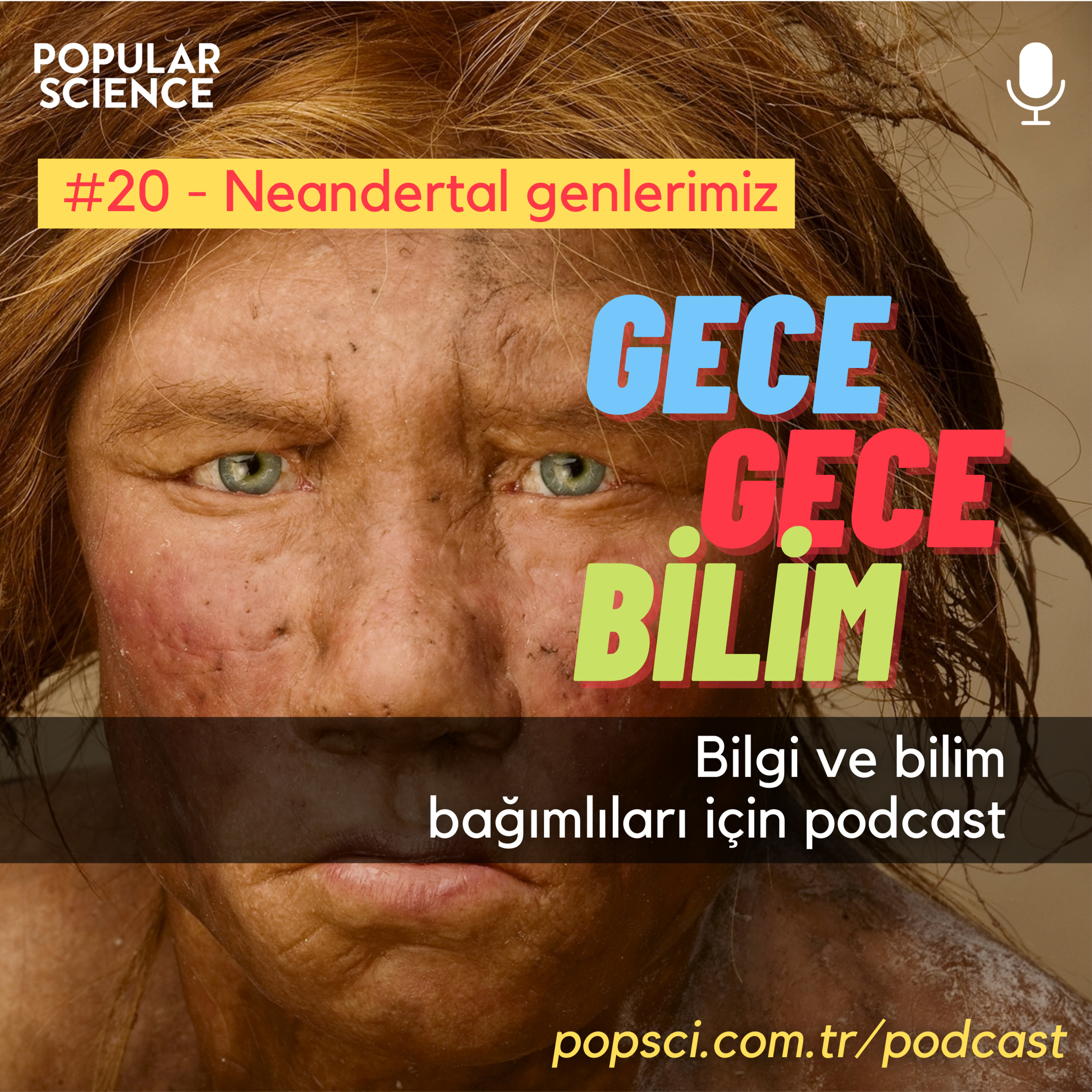 #21- Neandertal Genlerimiz- Gece Gece Bilim