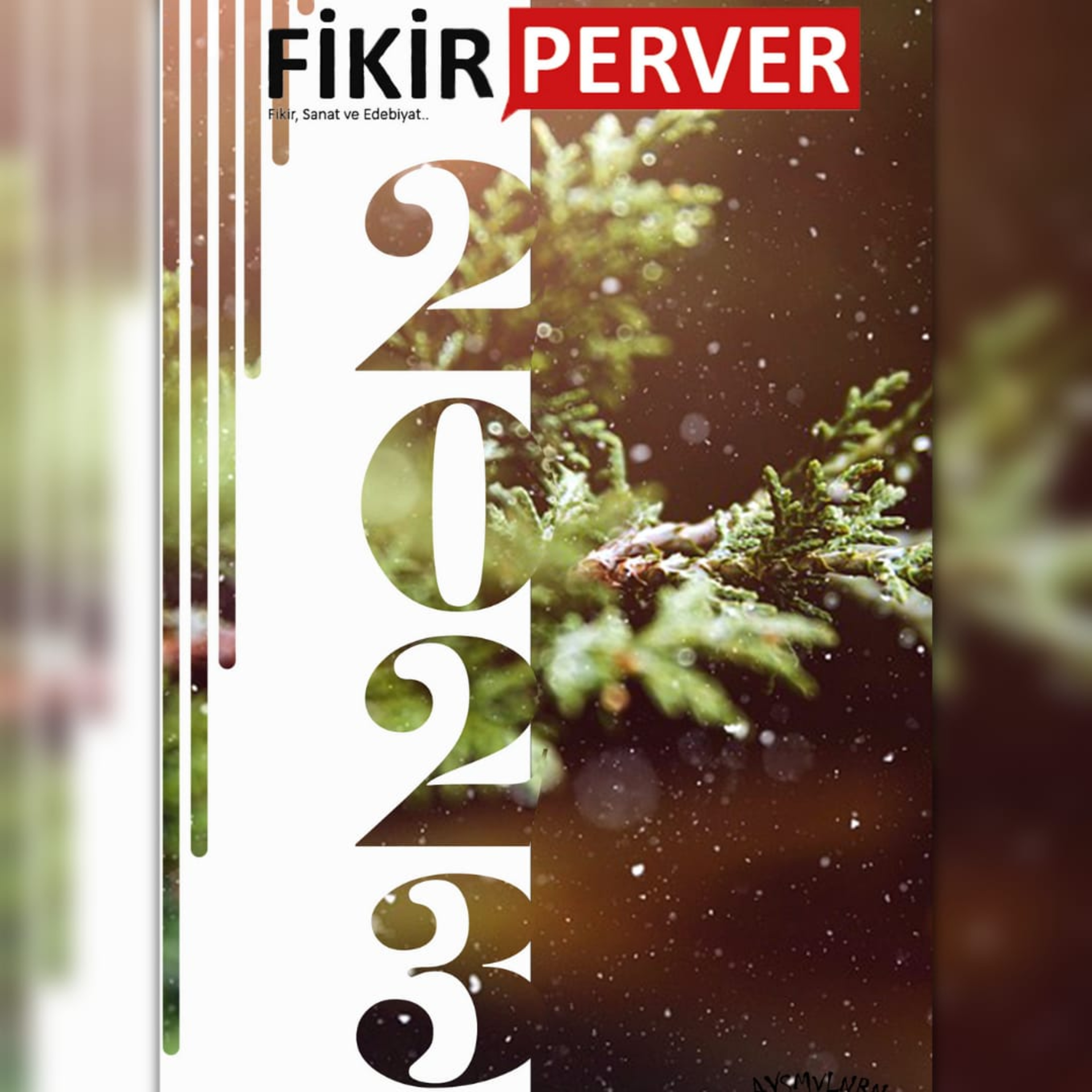 Fikirperver Dergi