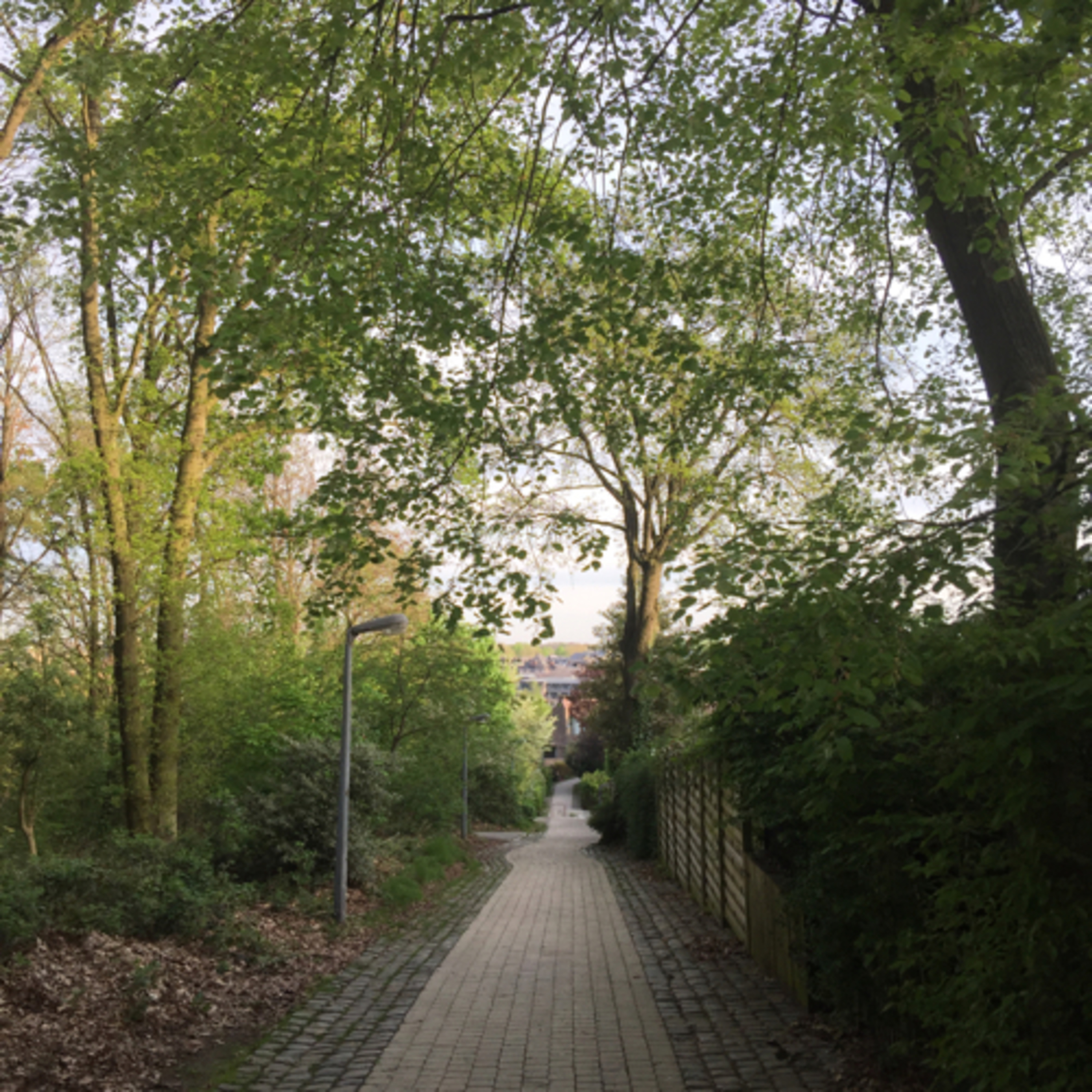 Preparando o domingo