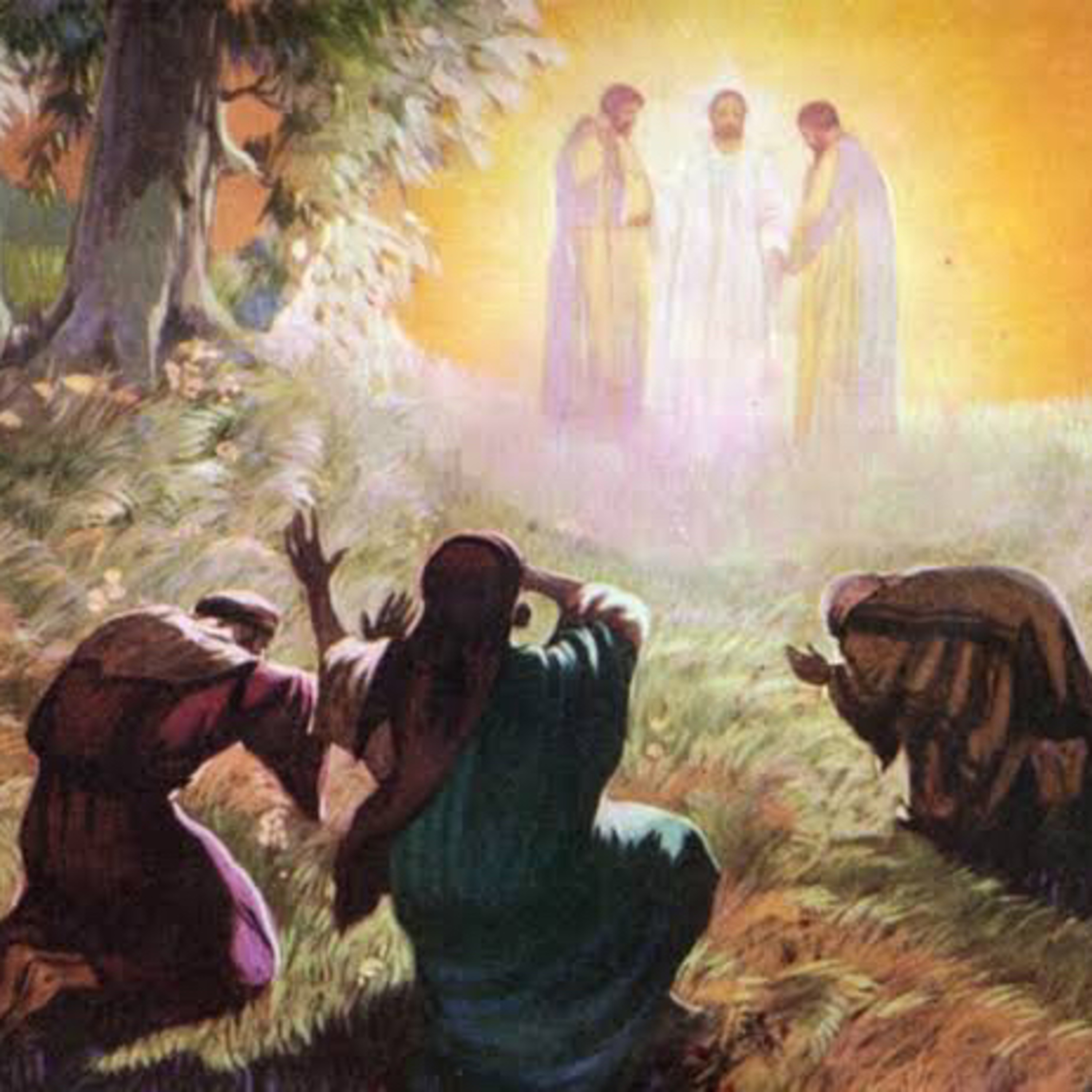 Preparando o domingo