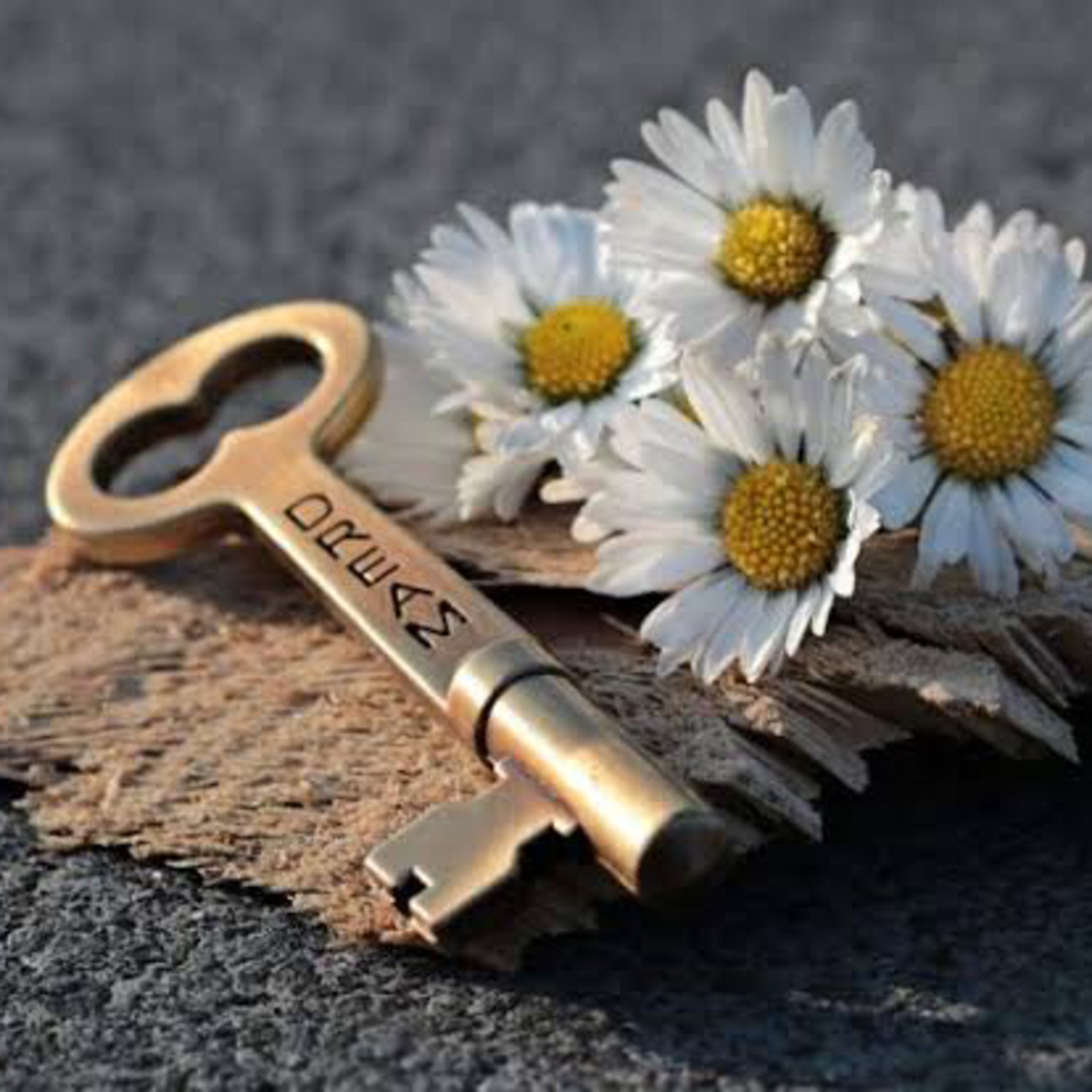 Preparando o domingo