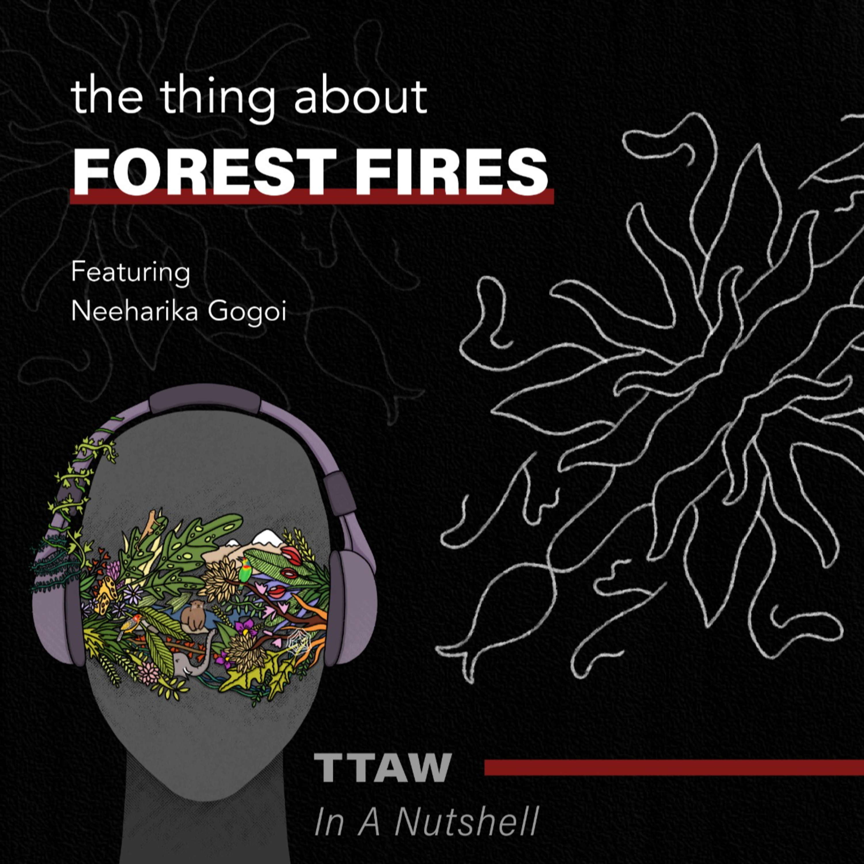 The Thing About Wildlife