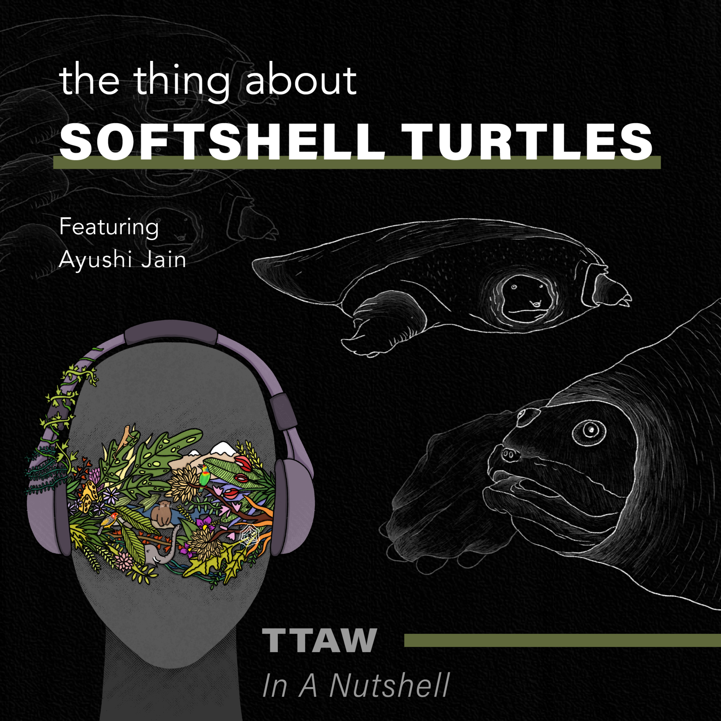 The Thing About Wildlife