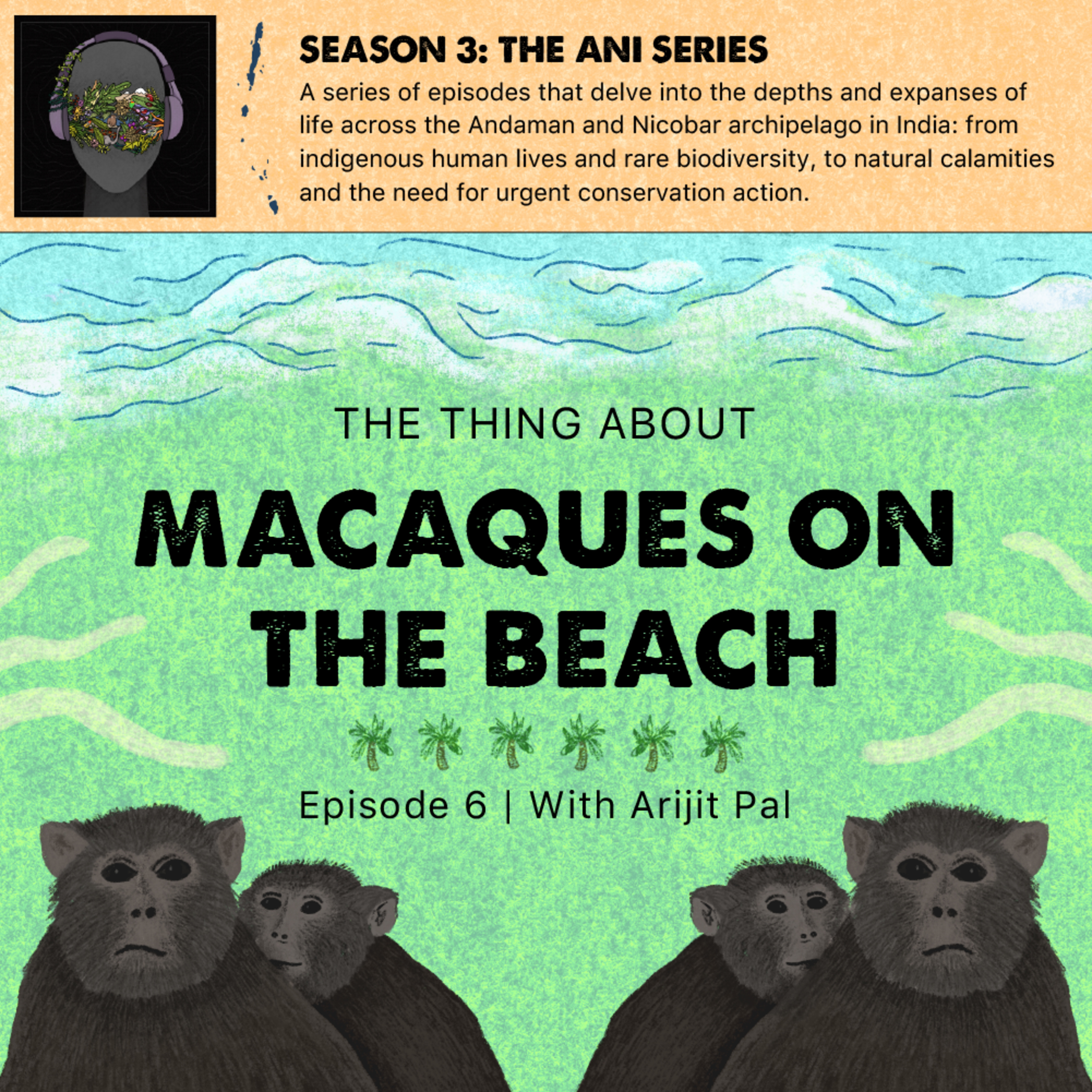 #36 The Thing About Monkeys on the Beach