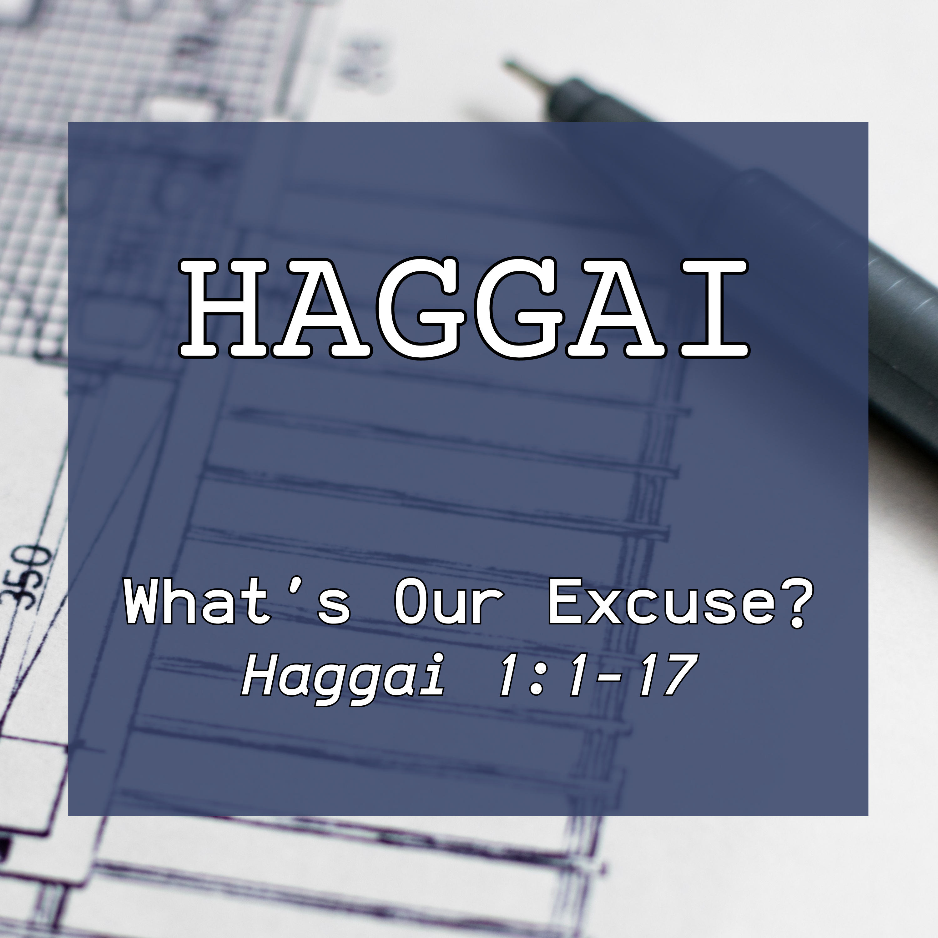 Haggai 1:1-17 // What's Our Excuse? episode artwork
