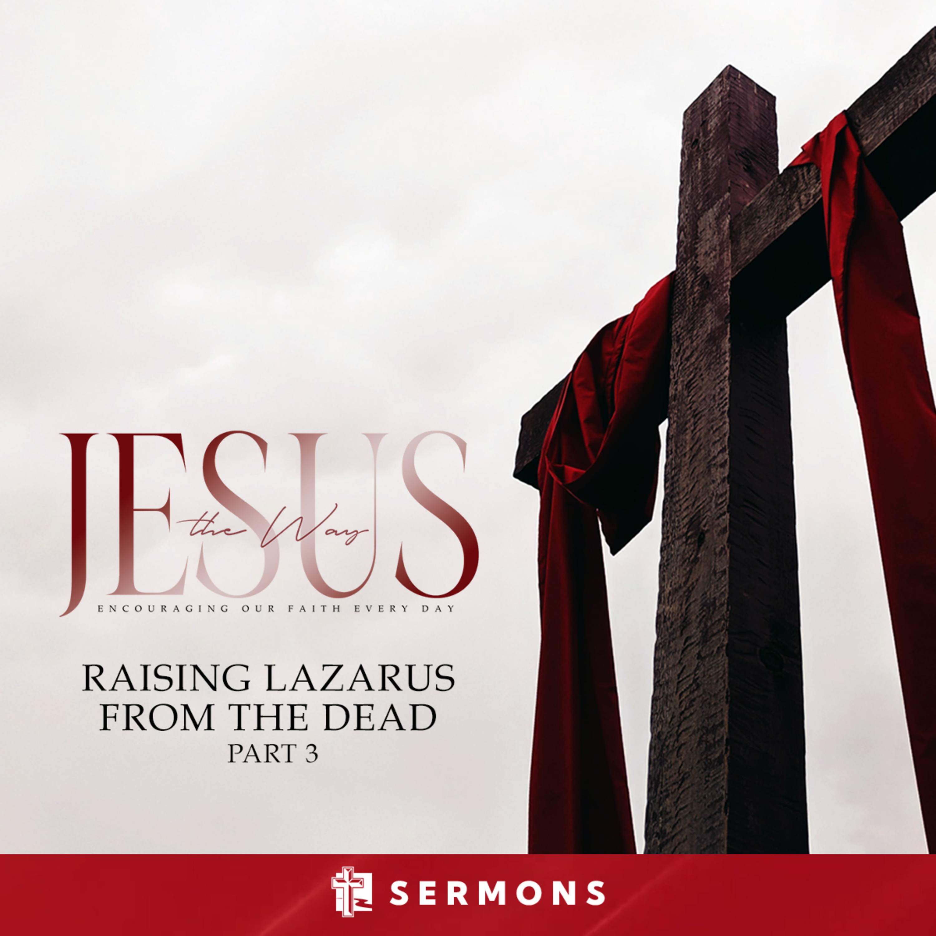 Raising Lazarus From The Dead, Part 3 (August 7, 2022) episode artwork