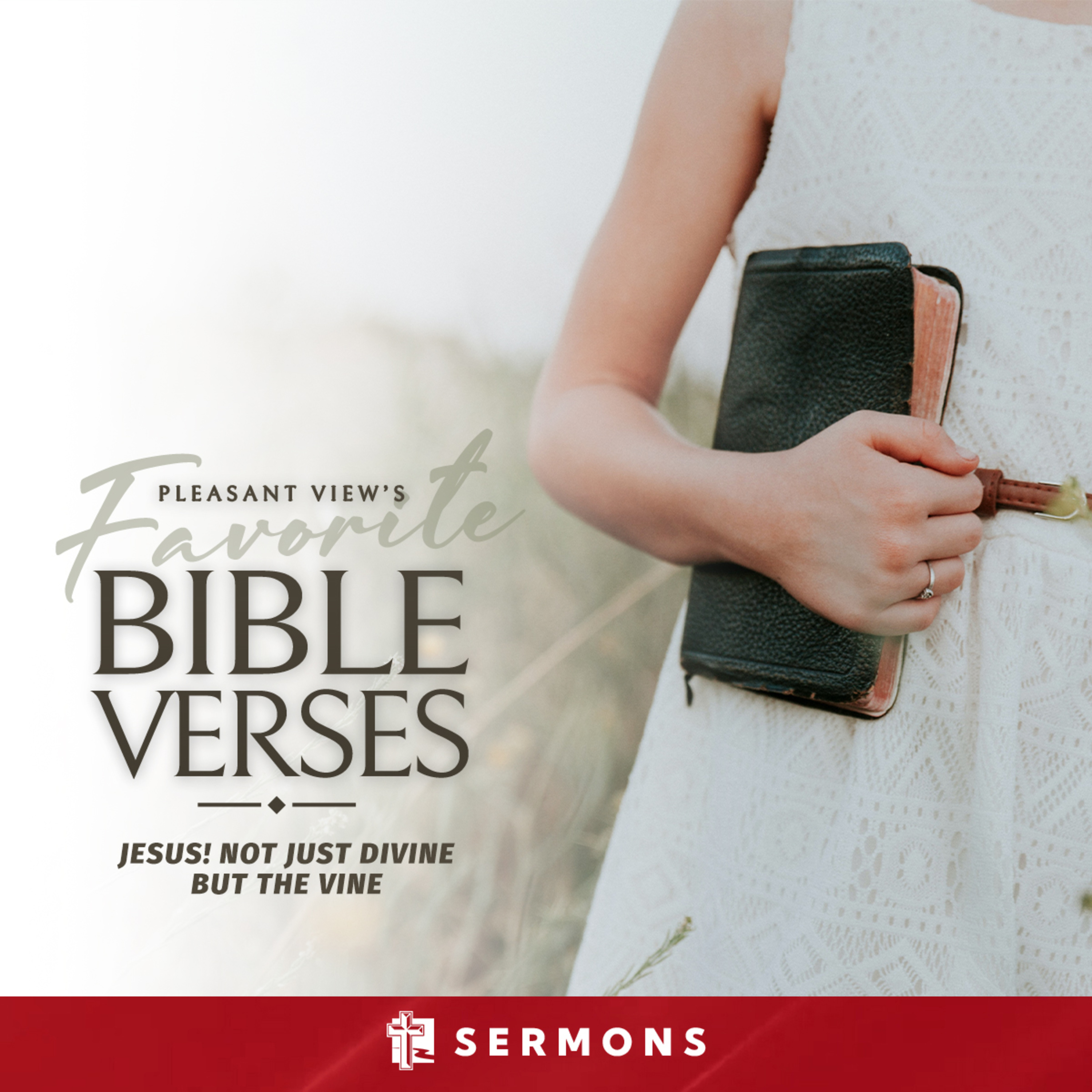 Jesus! Not Just Divine But The Vine (August 28, 2022) episode artwork