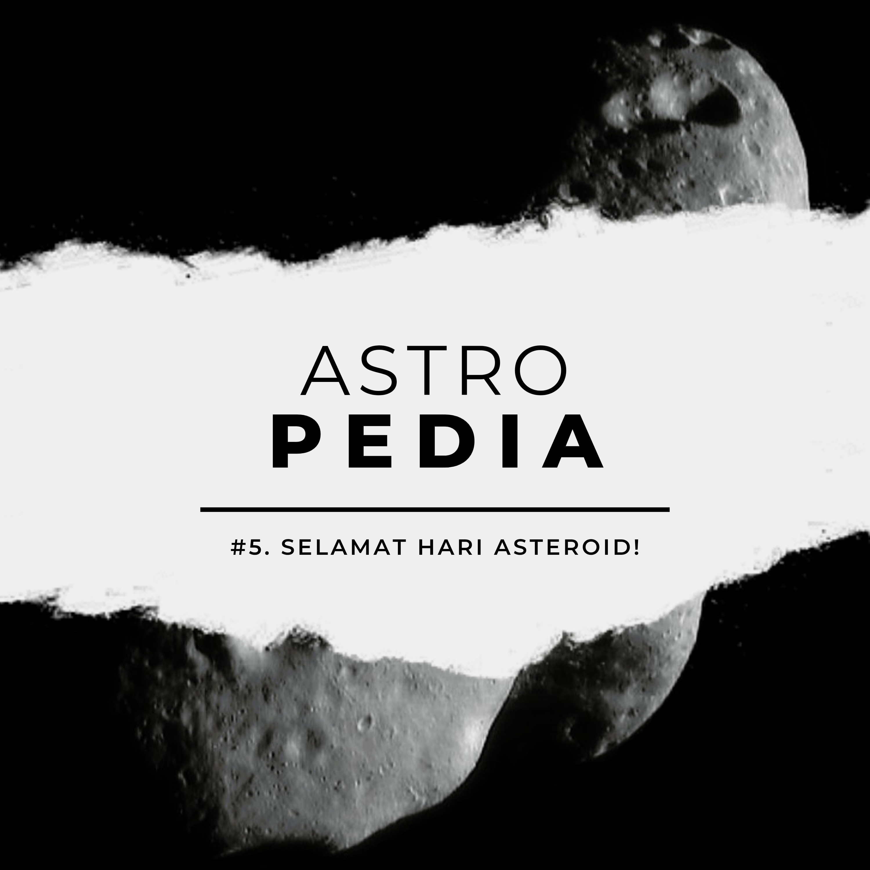 The Dodo Station