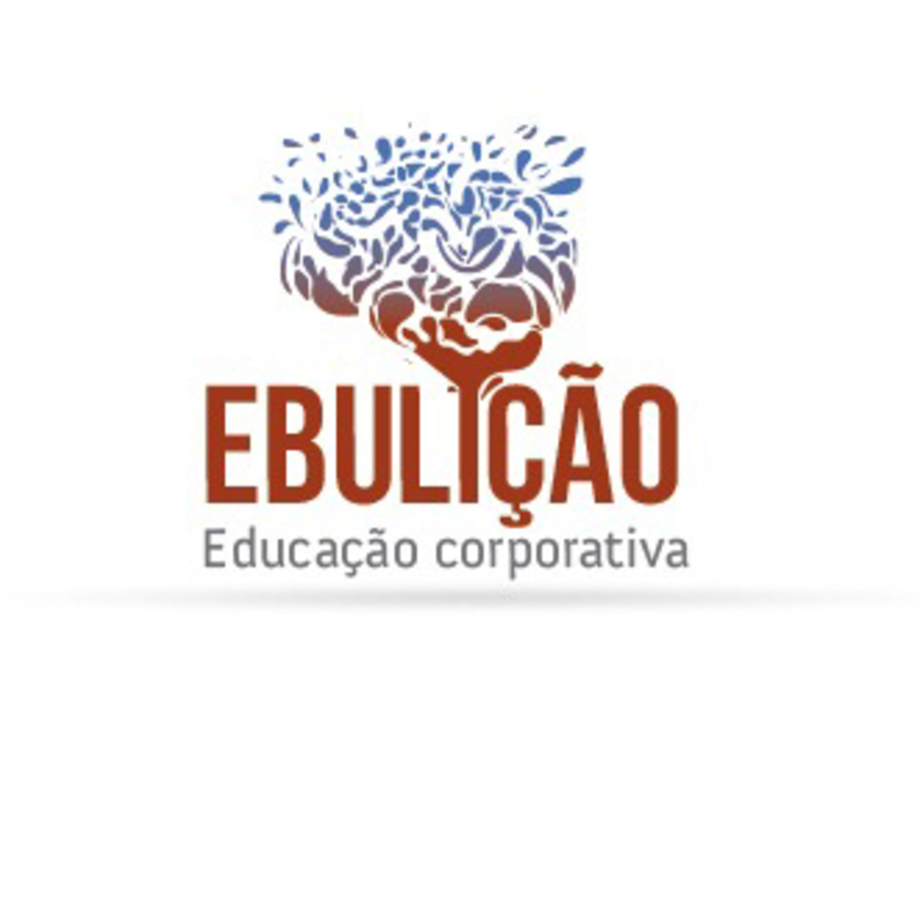Ebulição Financeira
