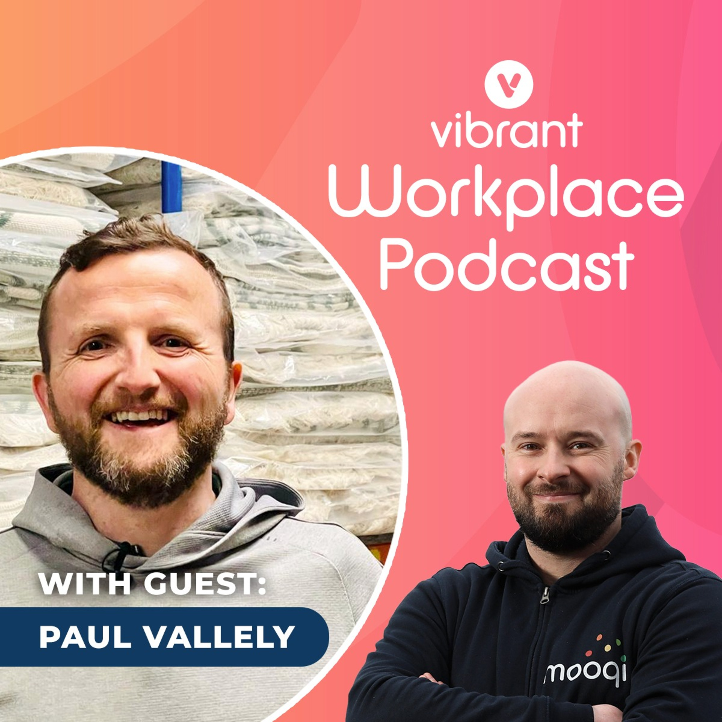 The Vibrant Workplace Podcast