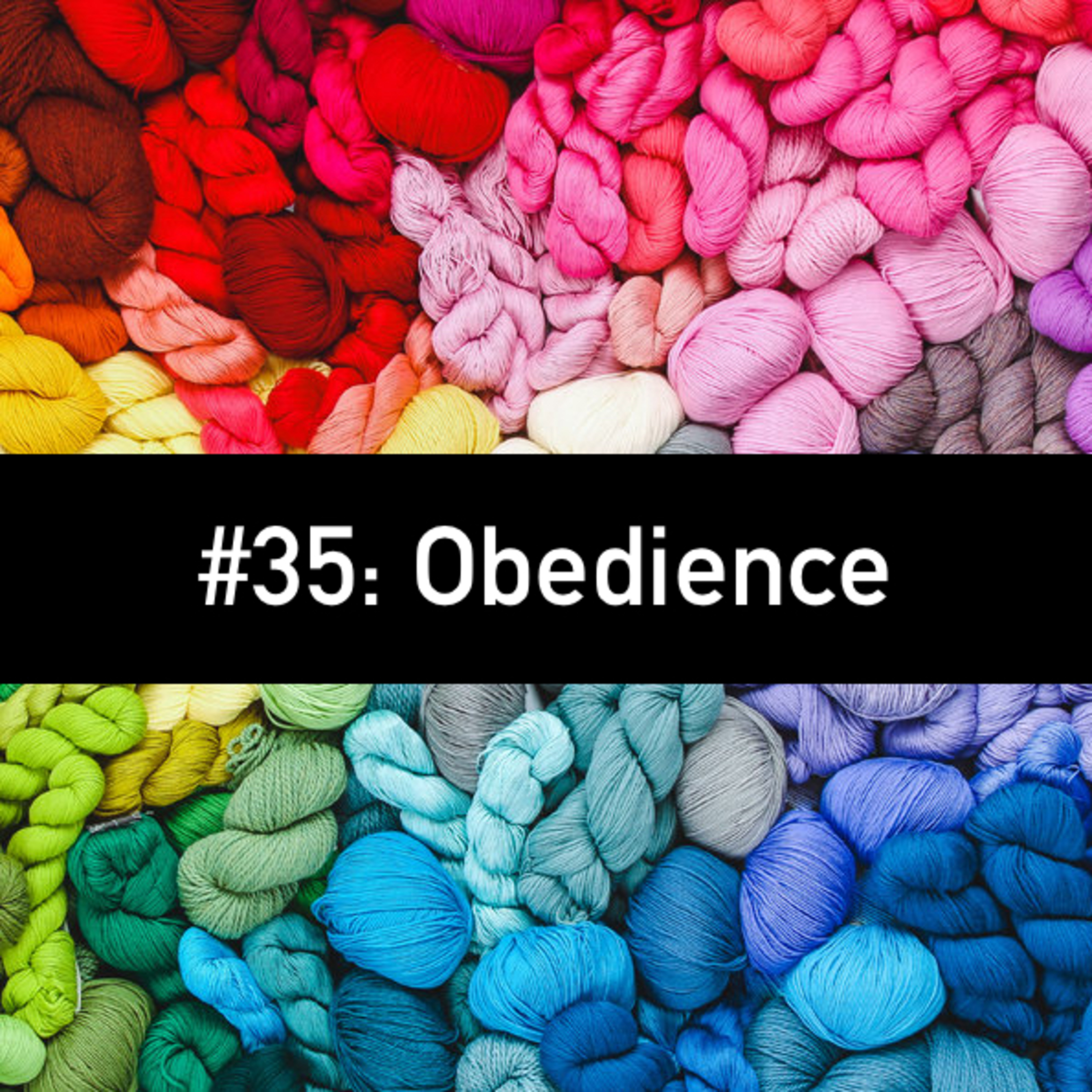 #35: Obedience episode artwork