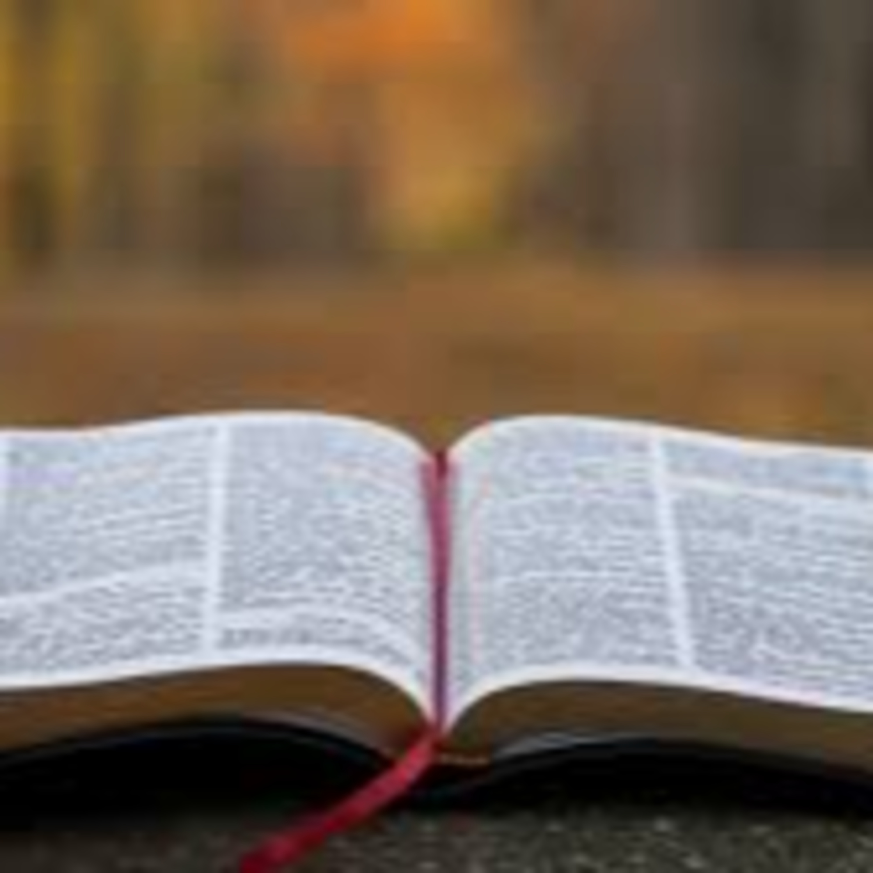 Psalm 6 (1611 Edition) episode artwork