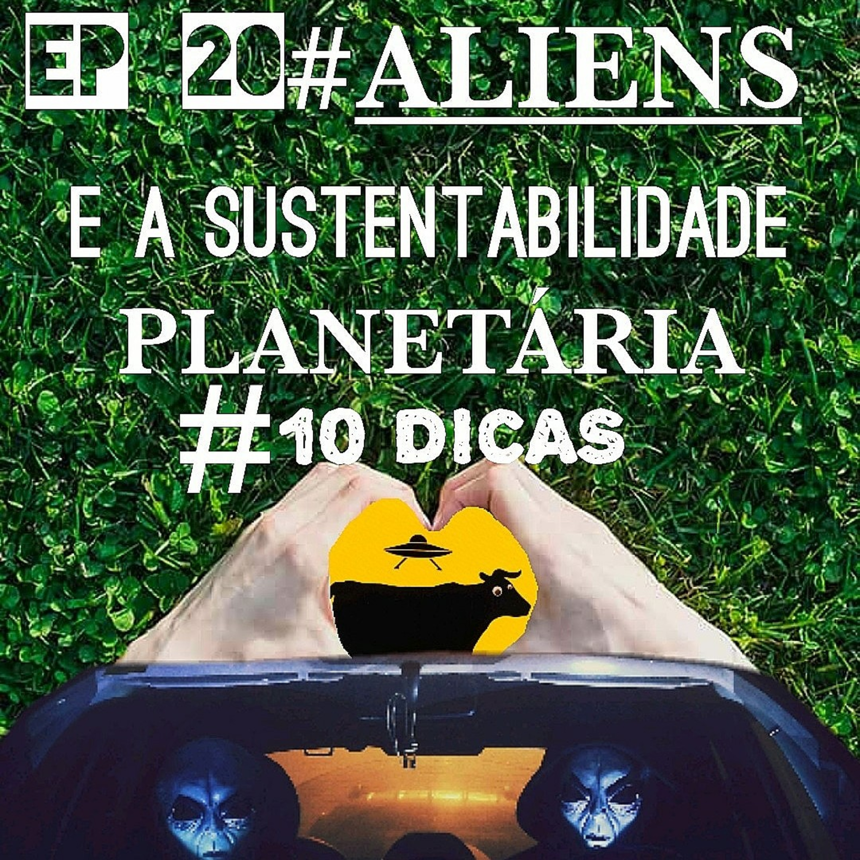 Pauta_cast
