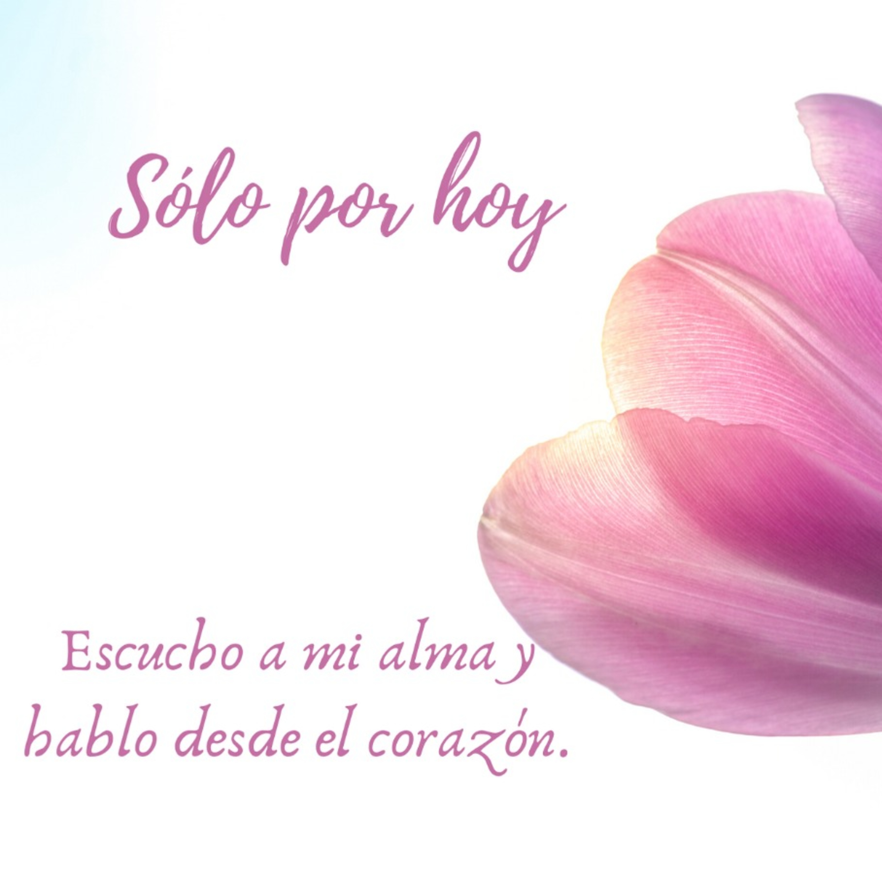 Audios Solo por hoy