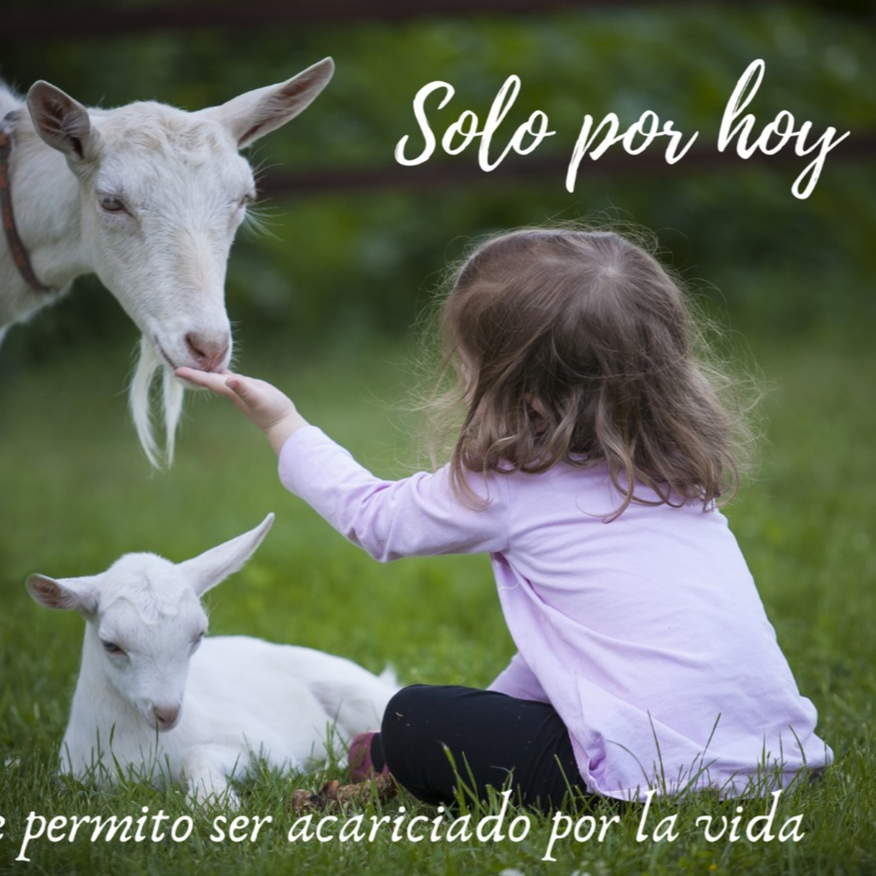 Audios Solo por hoy