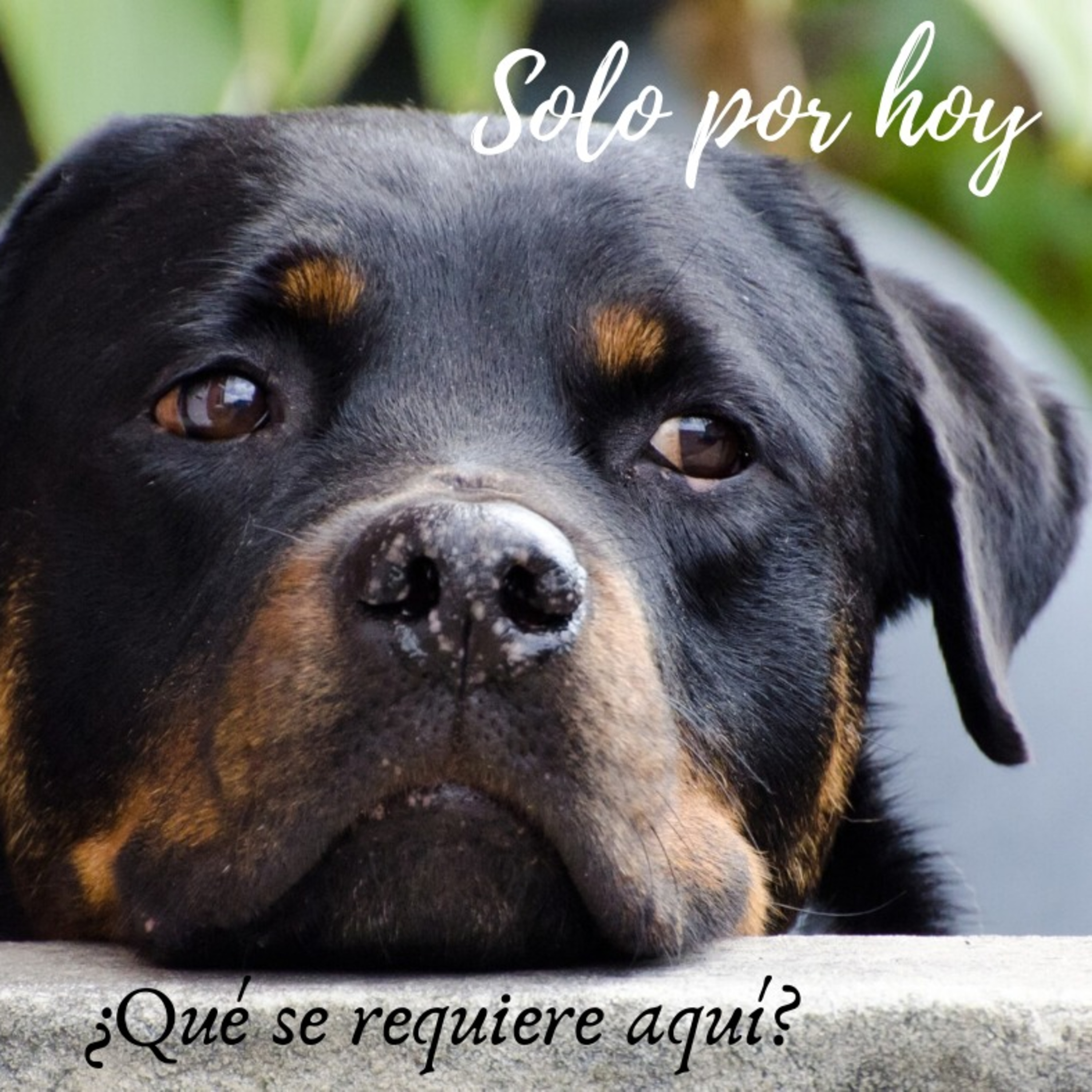 Audios Solo por hoy