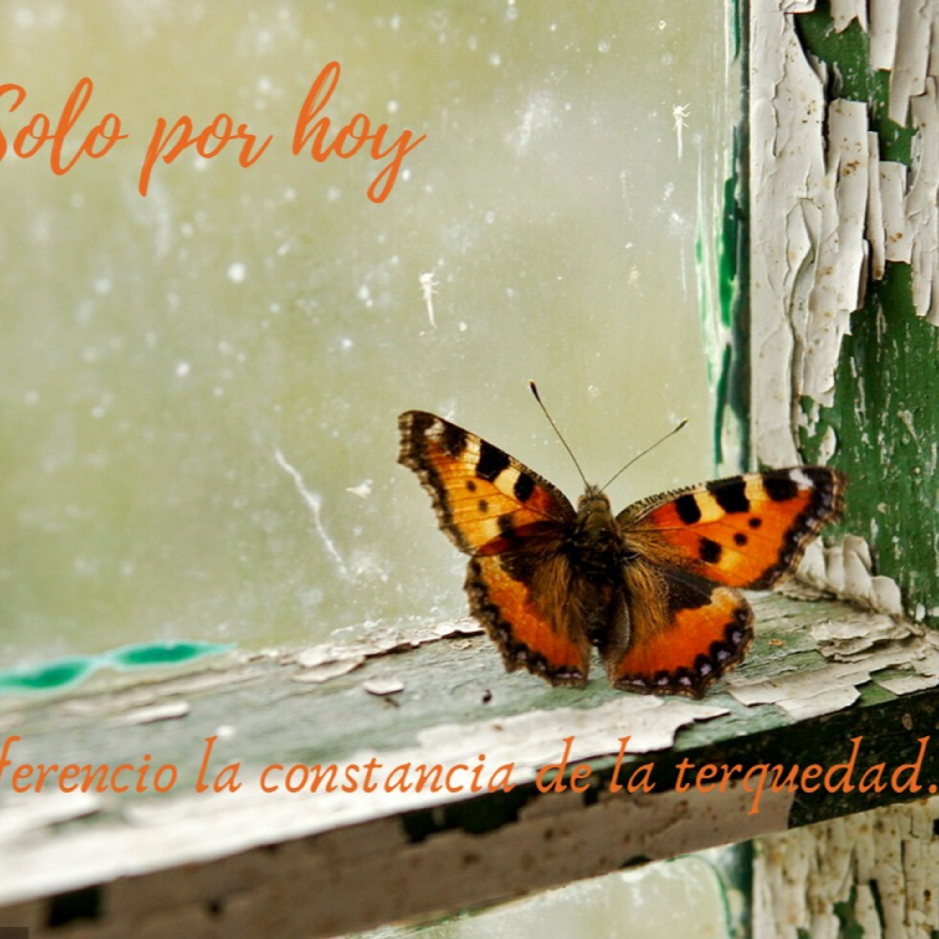 Audios Solo por hoy