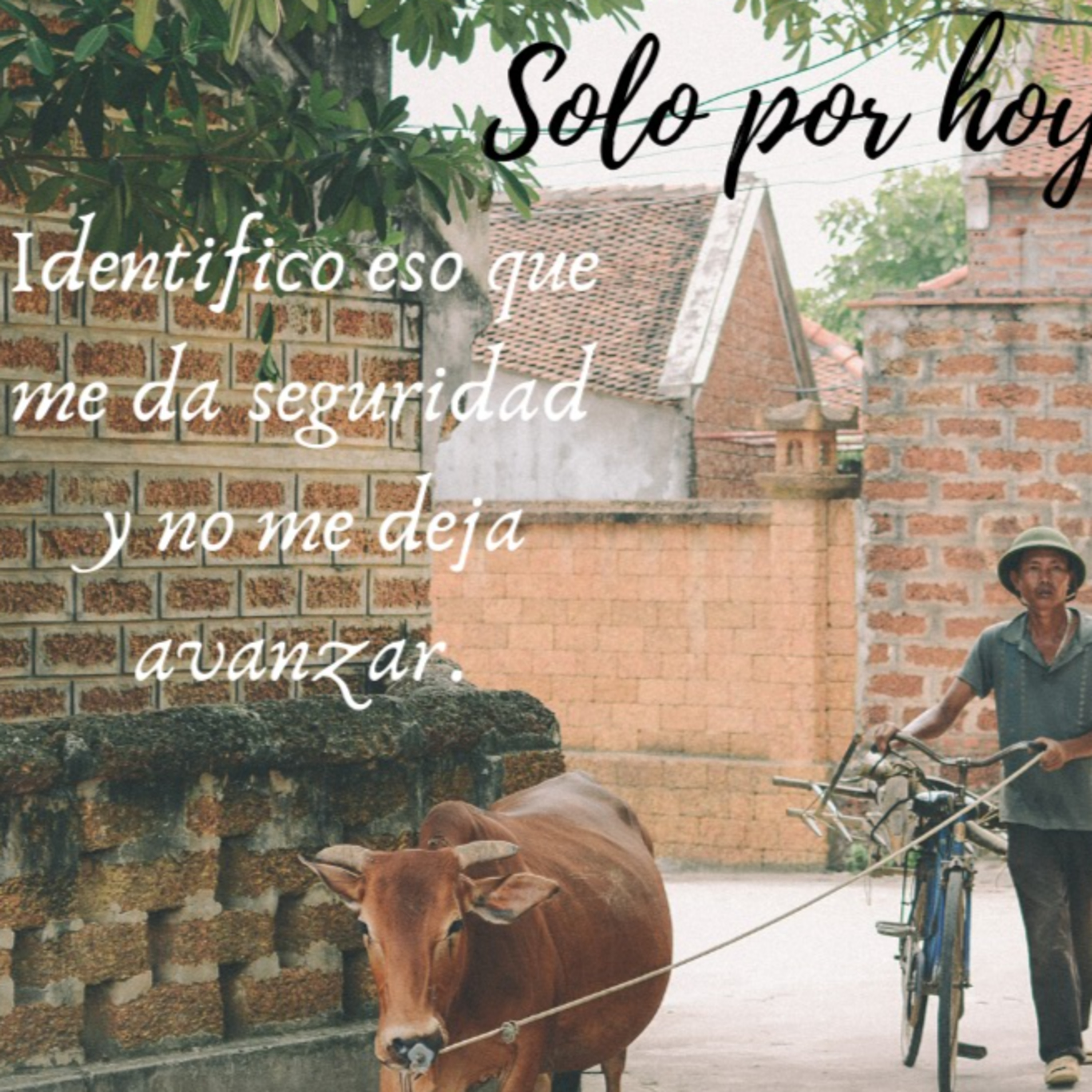 Audios Solo por hoy