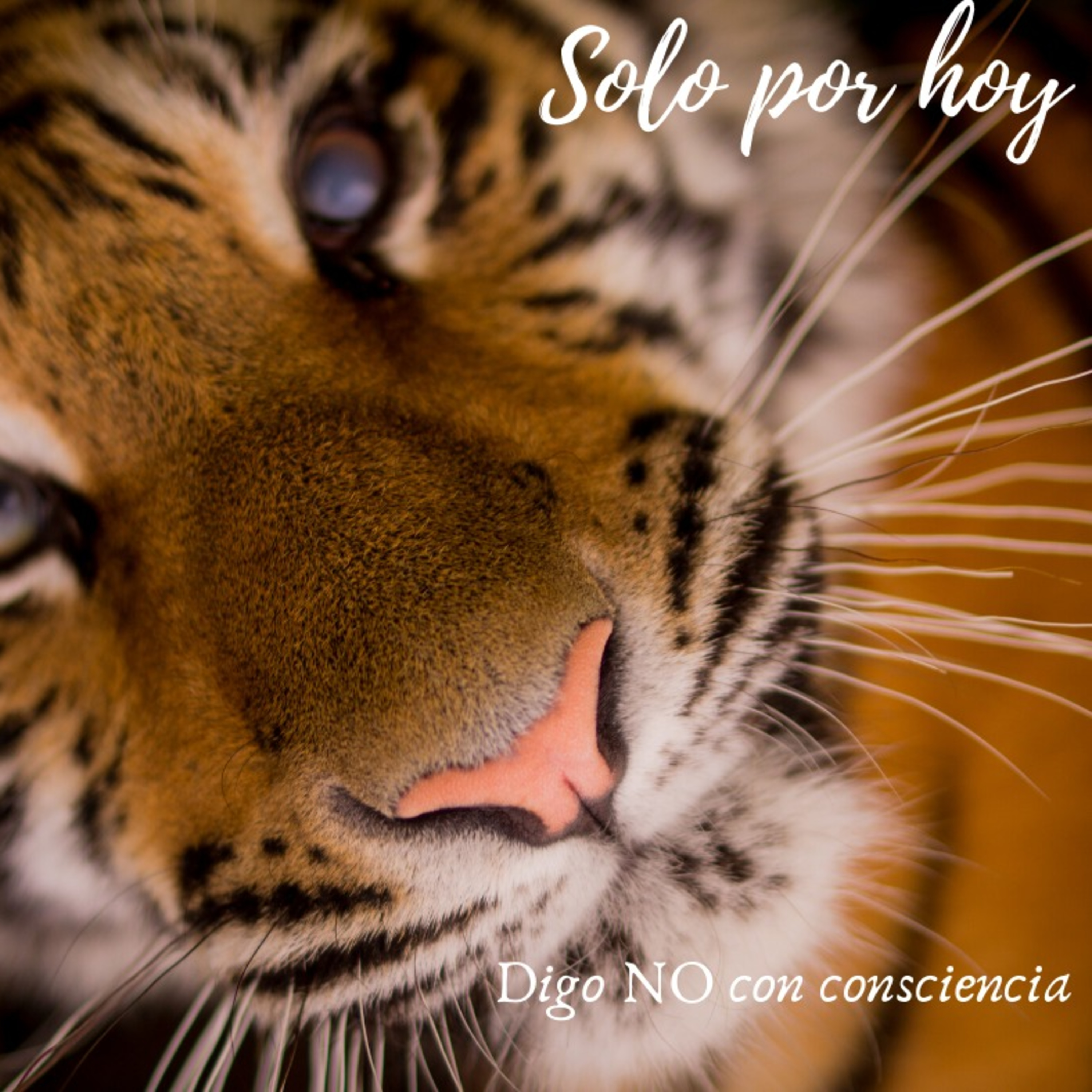 Audios Solo por hoy