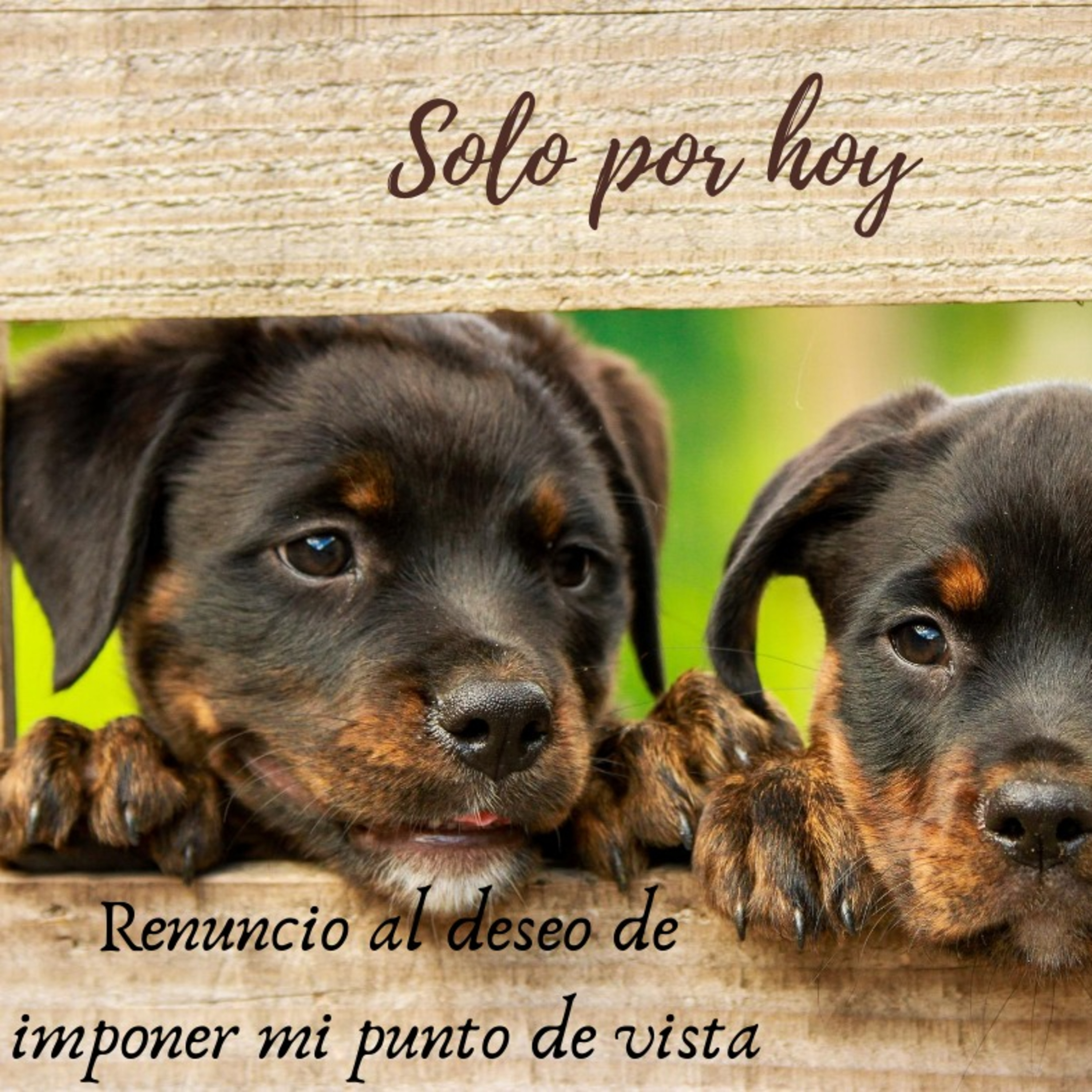 Audios Solo por hoy