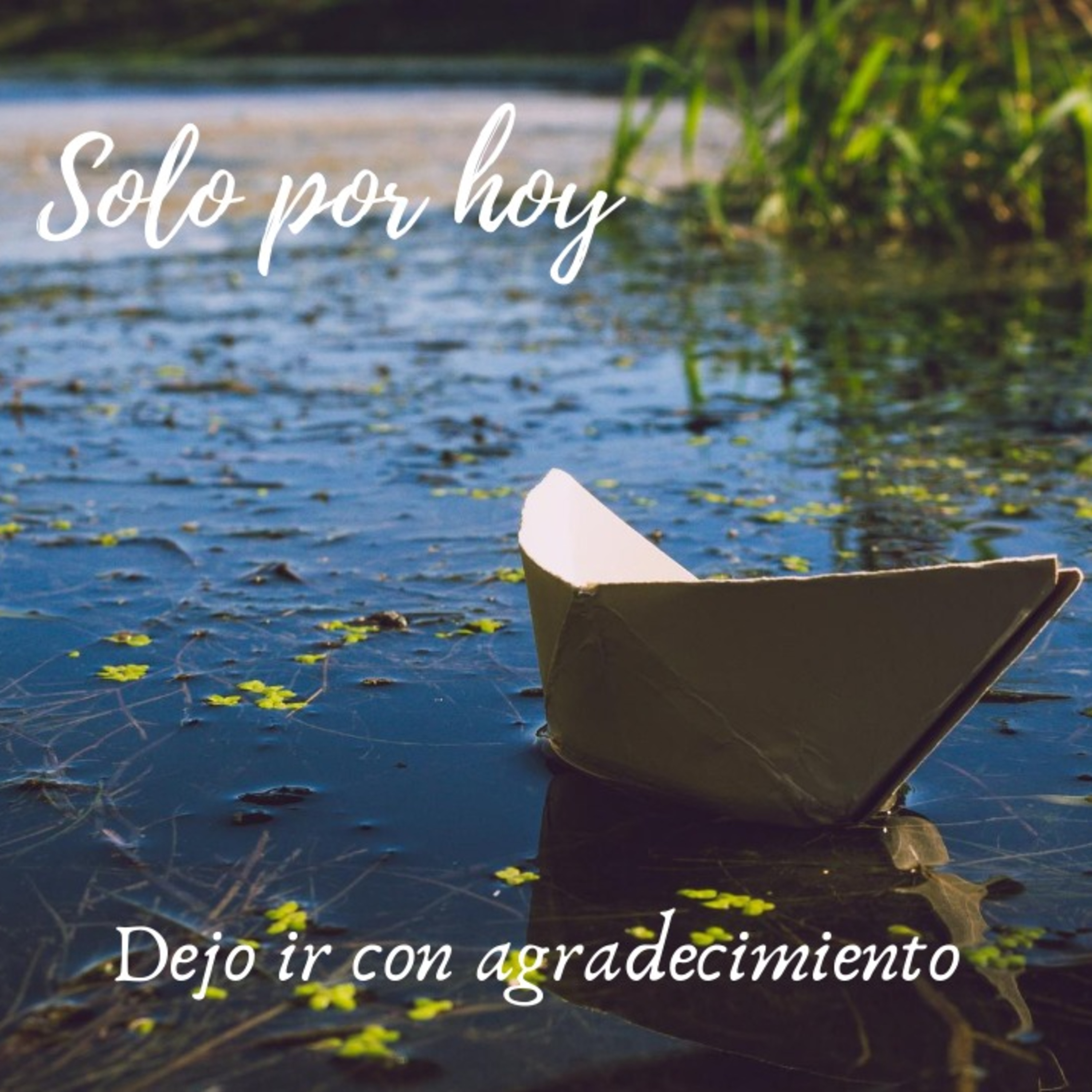 Audios Solo por hoy