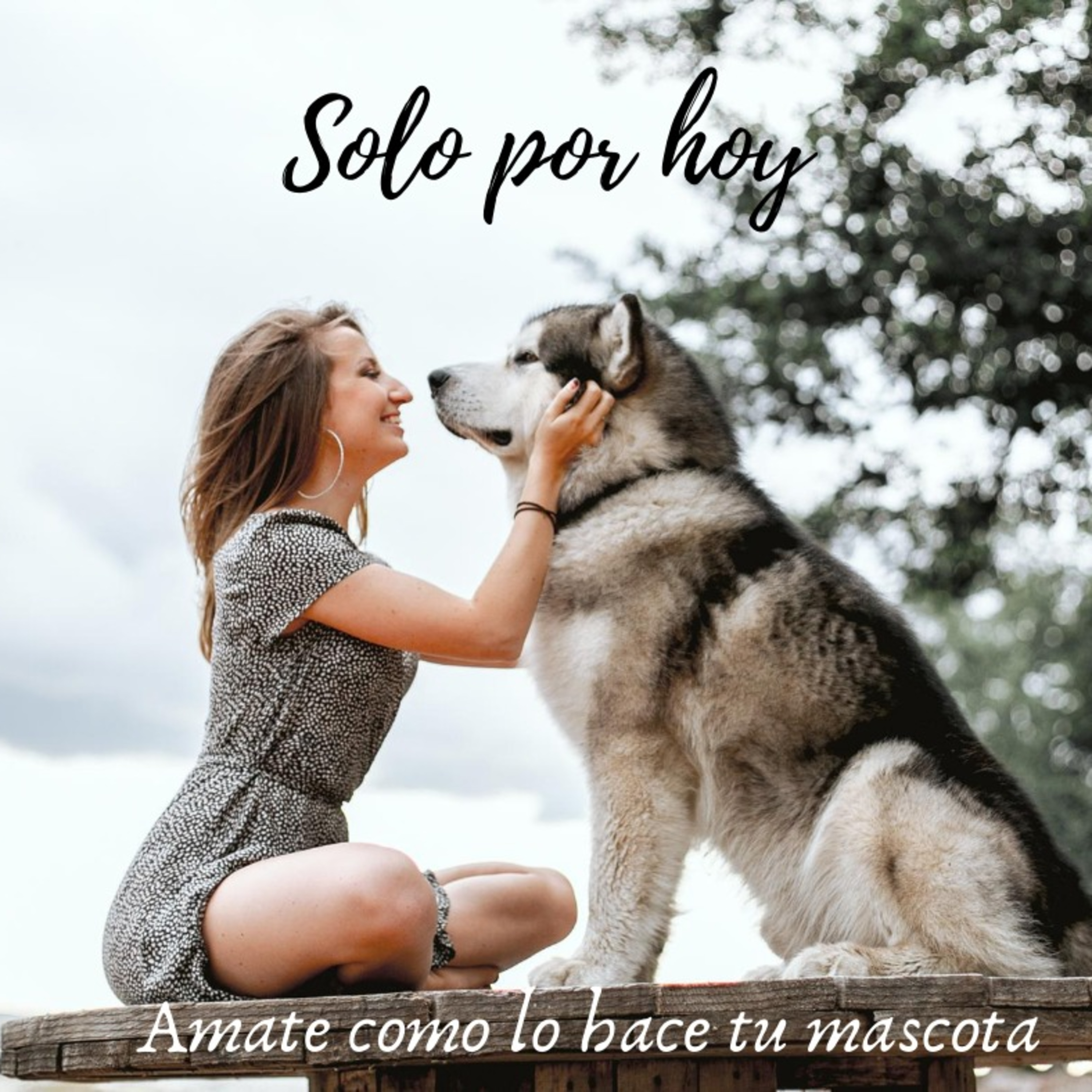 Audios Solo por hoy