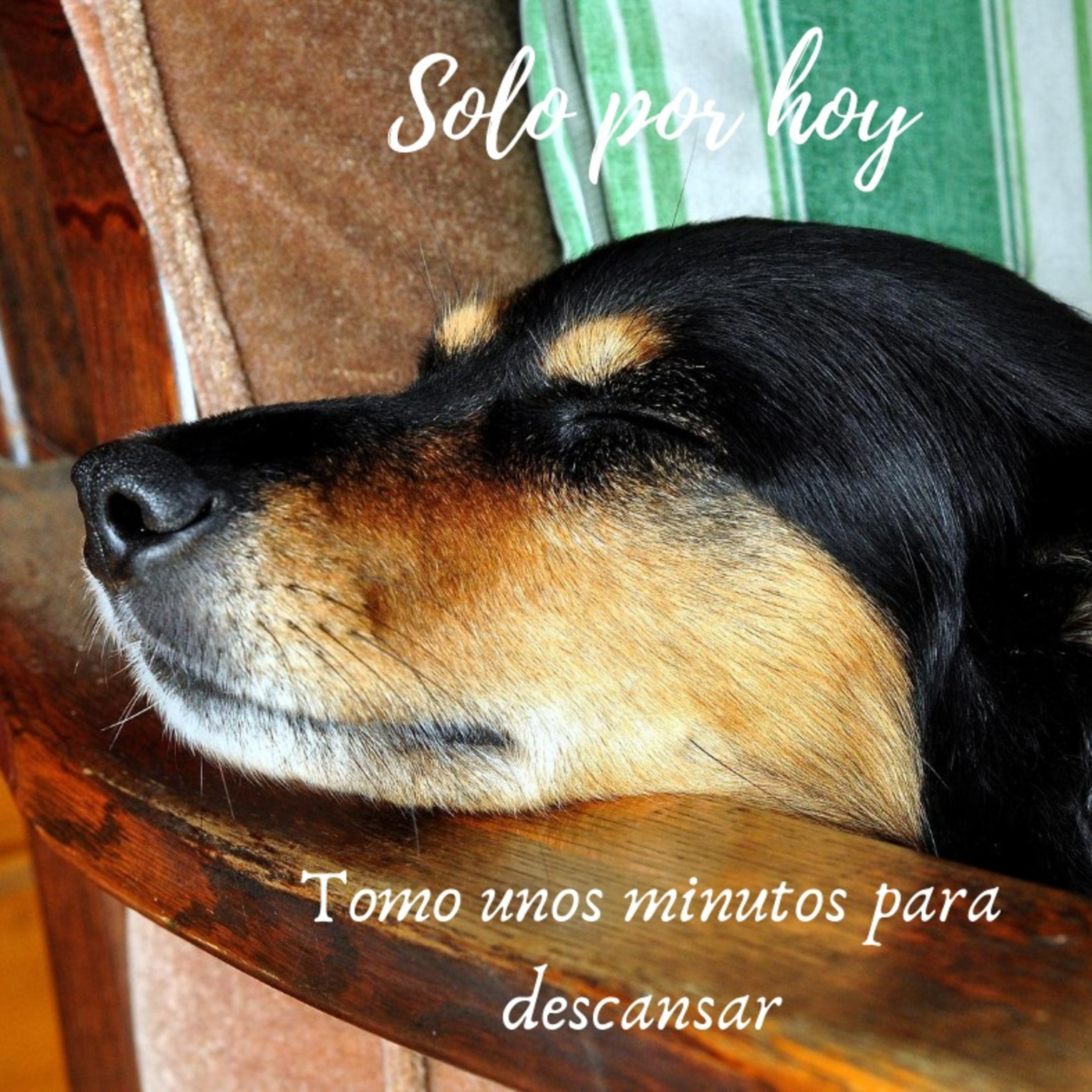 Audios Solo por hoy