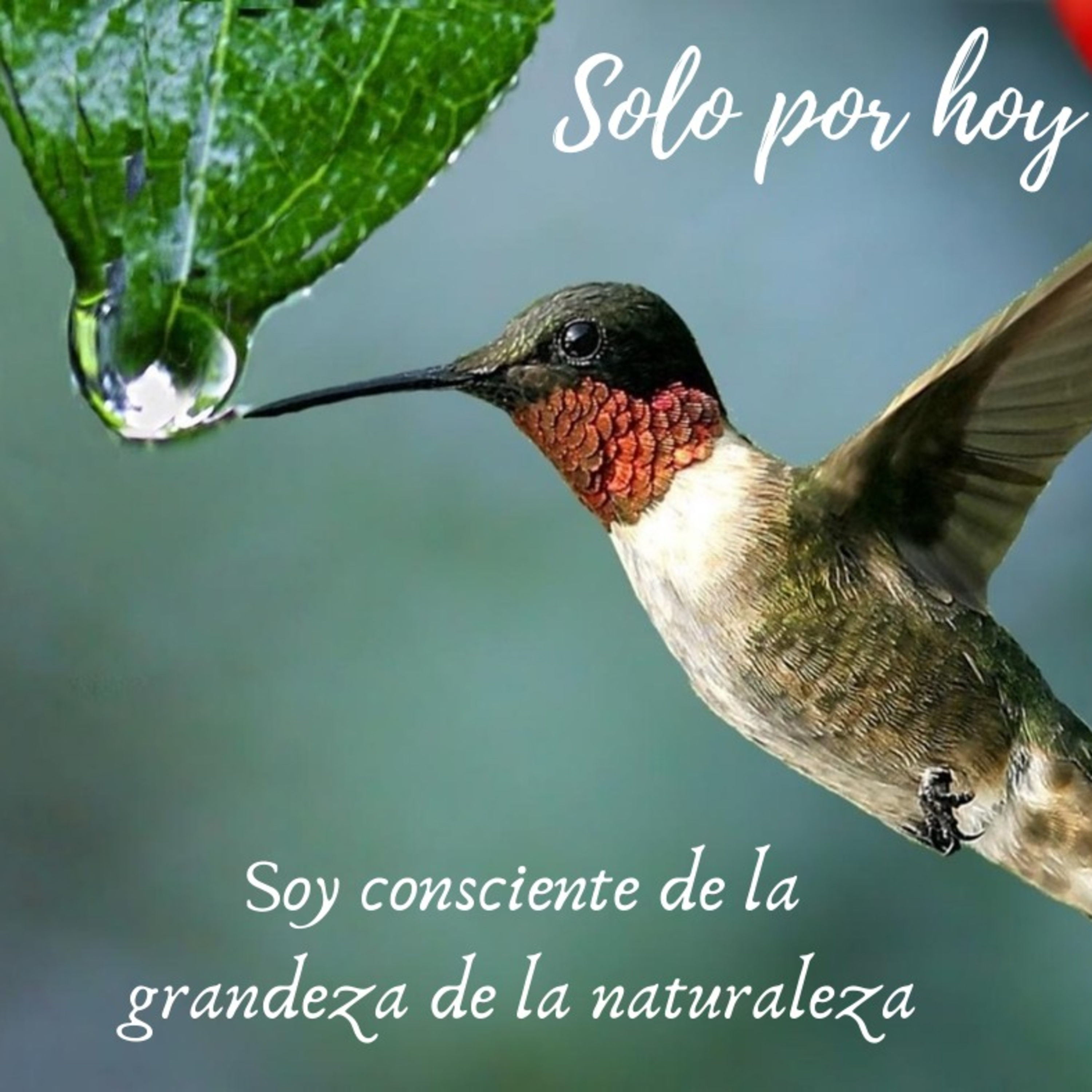 Audios Solo por hoy