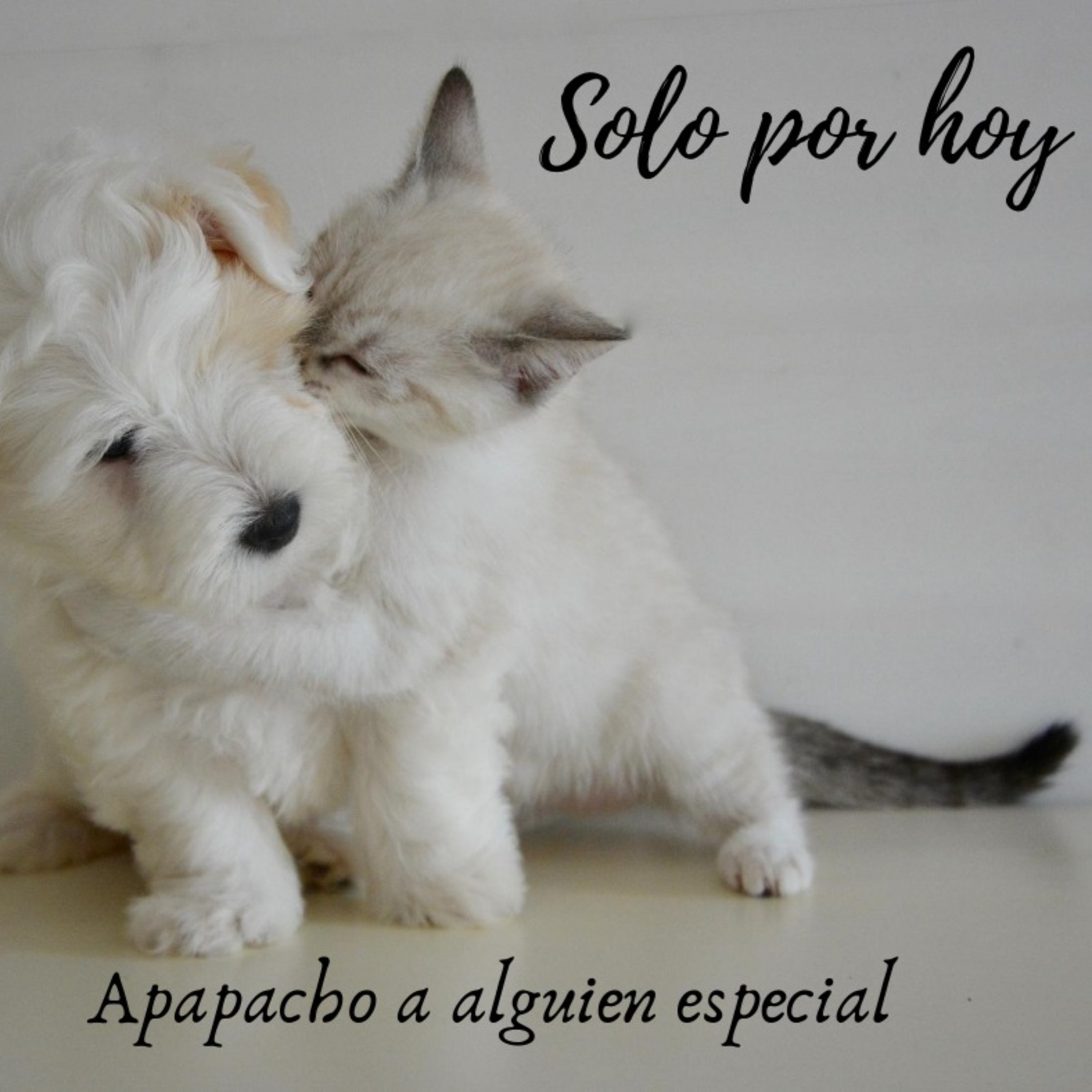 Audios Solo por hoy