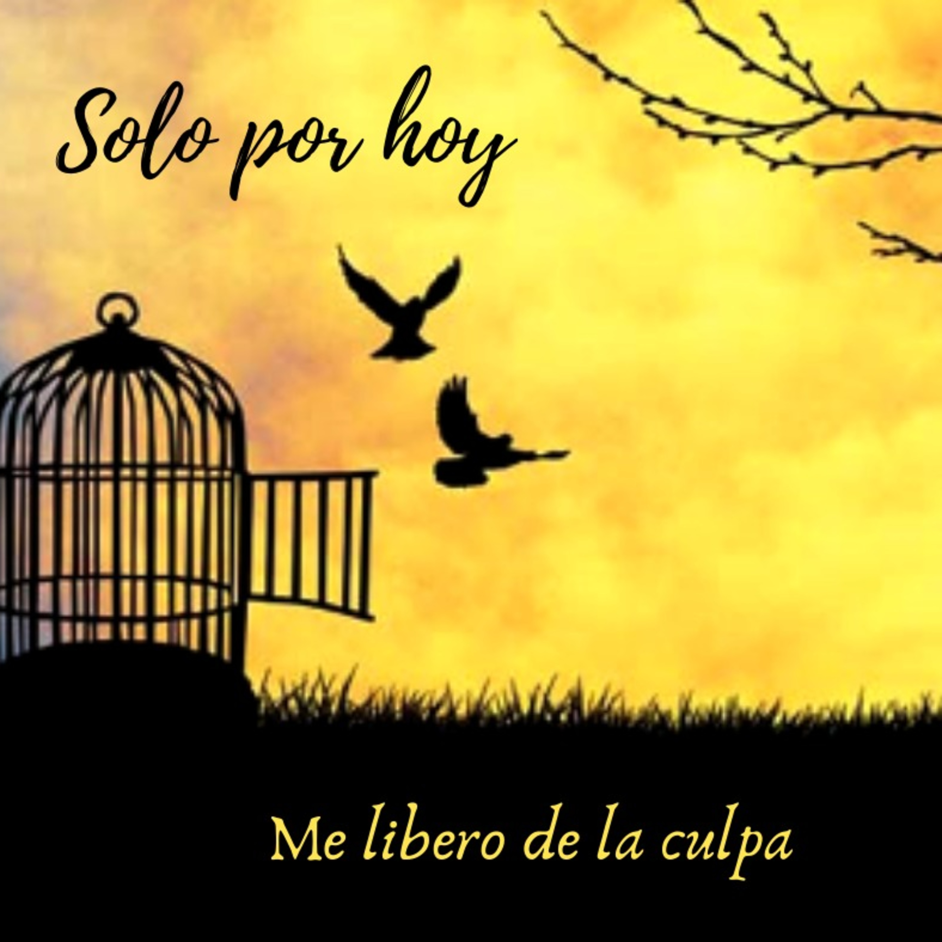 Audios Solo por hoy