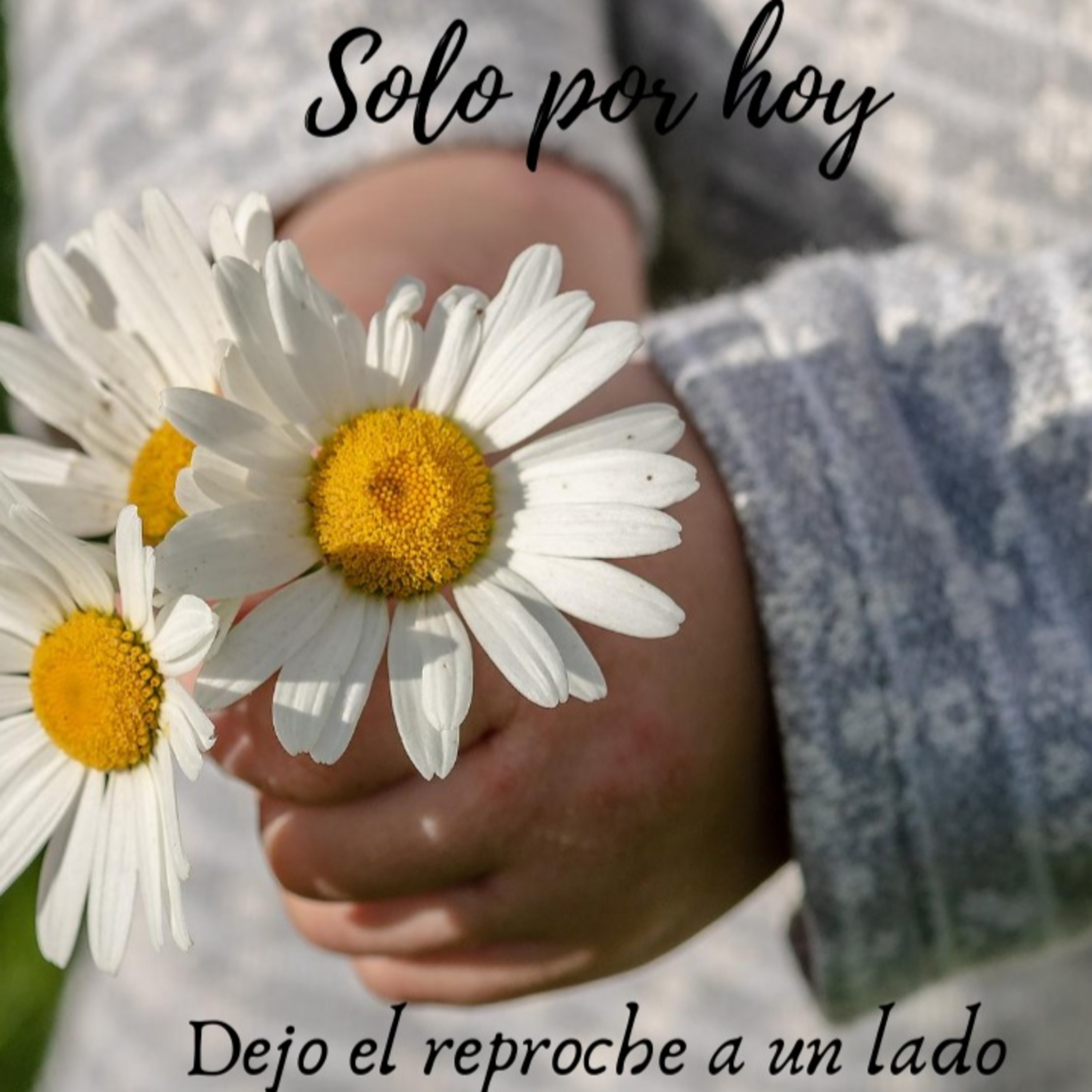 Audios Solo por hoy
