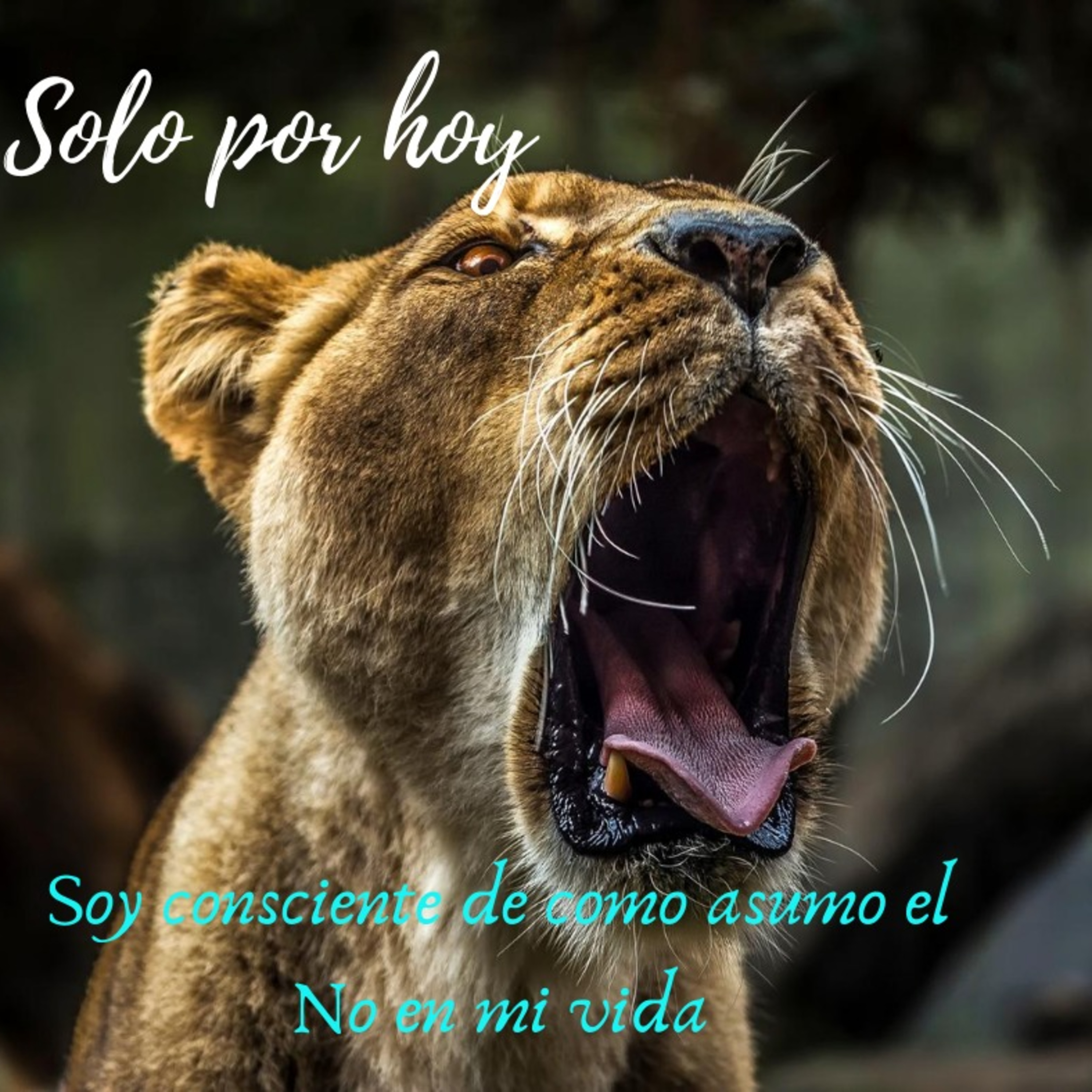 Audios Solo por hoy