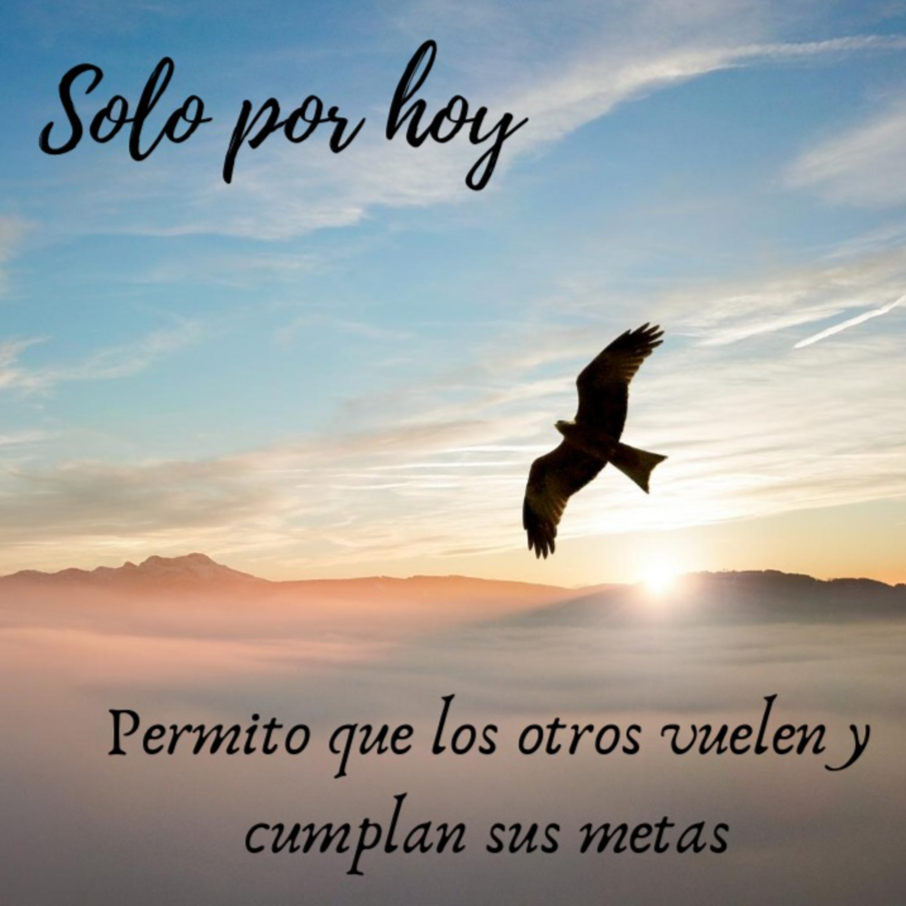 Audios Solo por hoy