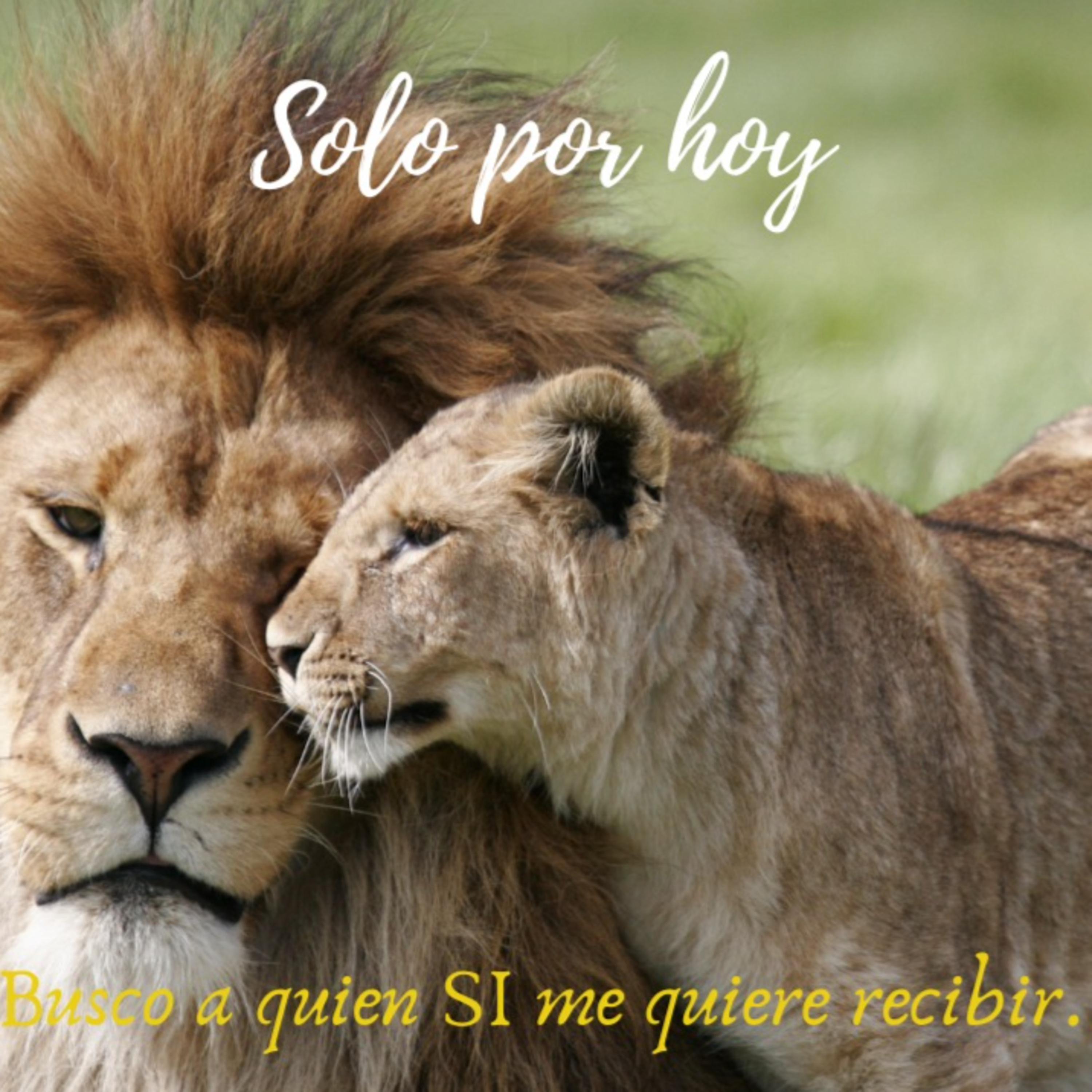 Audios Solo por hoy