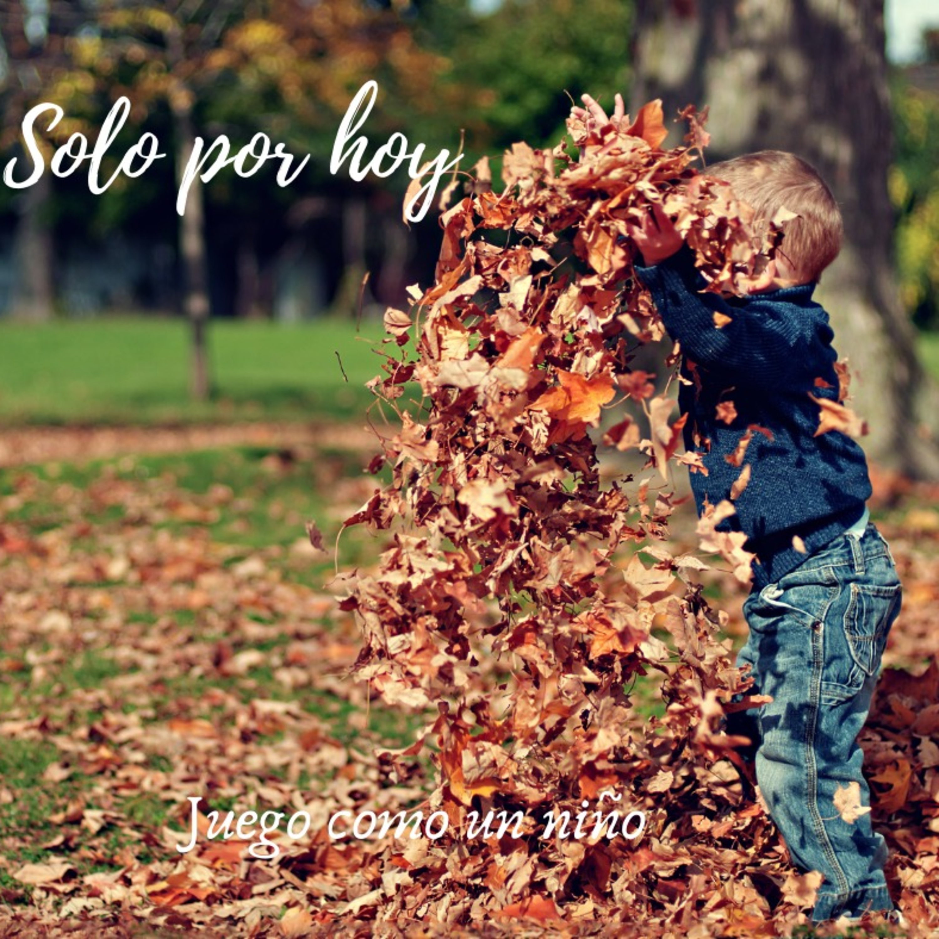 Audios Solo por hoy