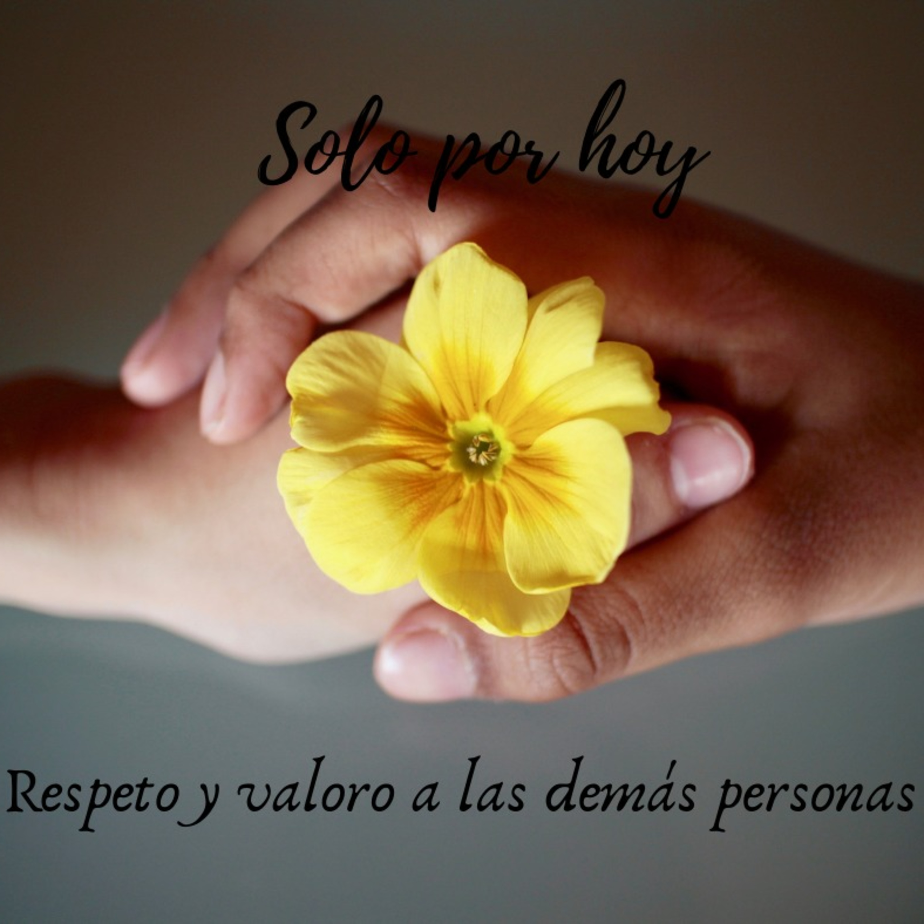Audios Solo por hoy