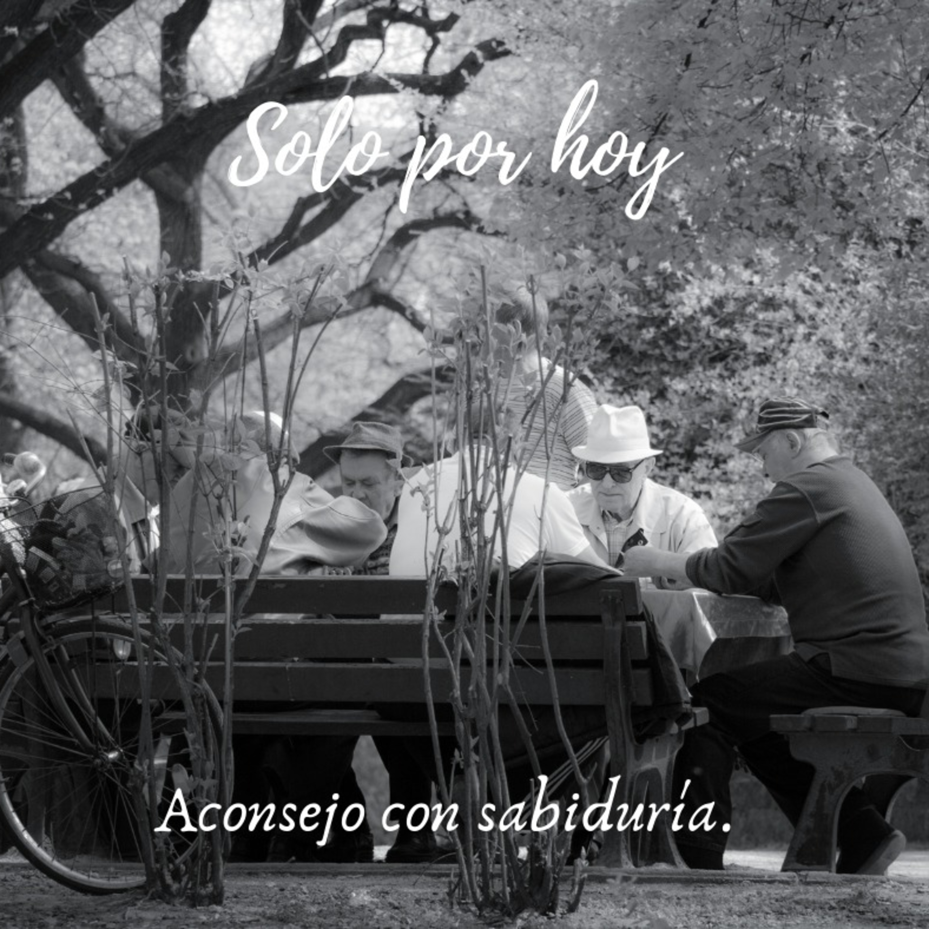 Audios Solo por hoy