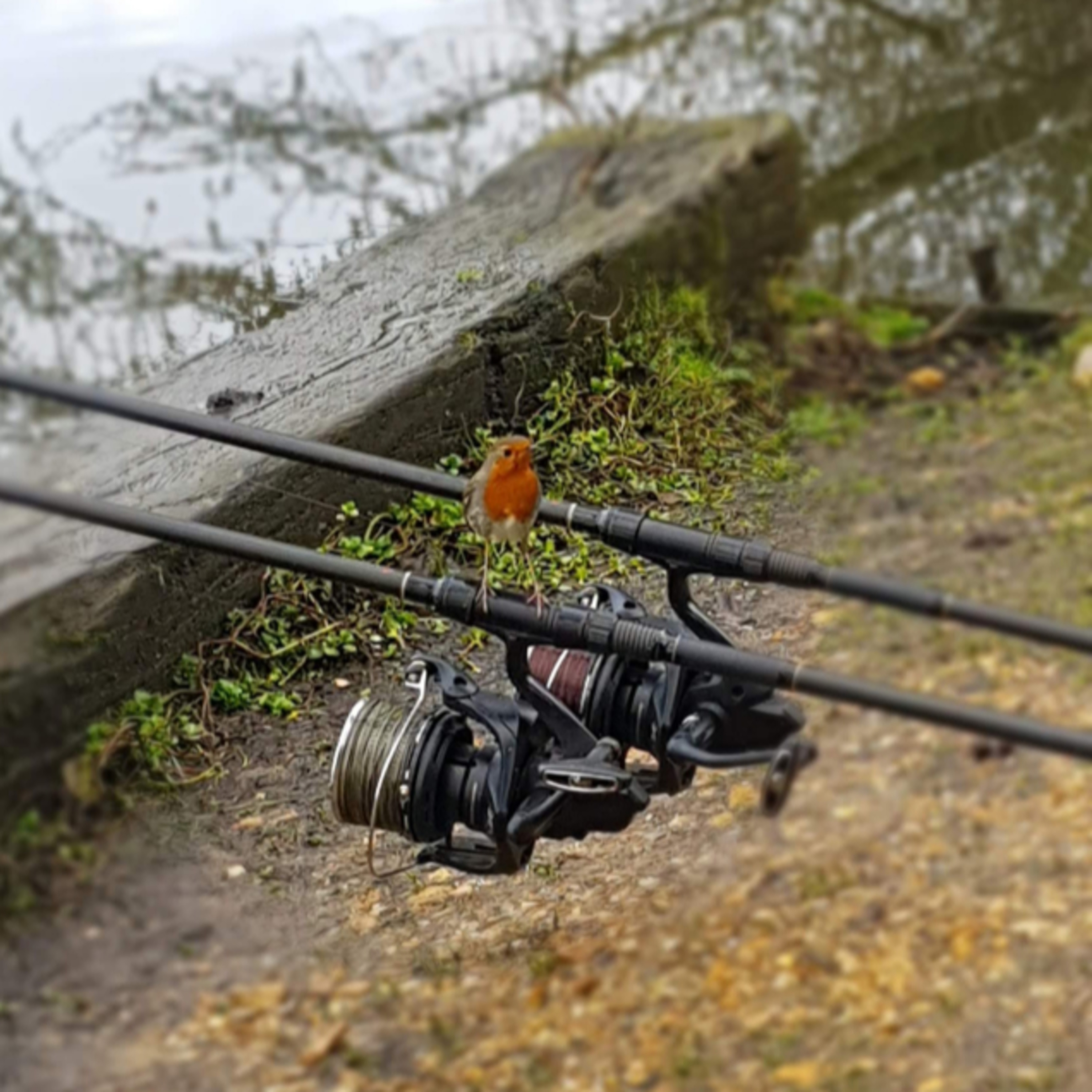 Trip 6 Carp Fishing- 2020 episode artwork